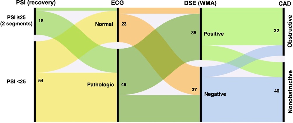 Alluvial (Sankey) plot showing the relationships between post-systolic index (PSI), electrocardiogram (ECG), wall motion abnormalities (WMA), dobutamine stress echocardiography (DSE) results, and the presence of obstructive coronary artery disease (CAD). The width of each flow represents the number of patients in each category.