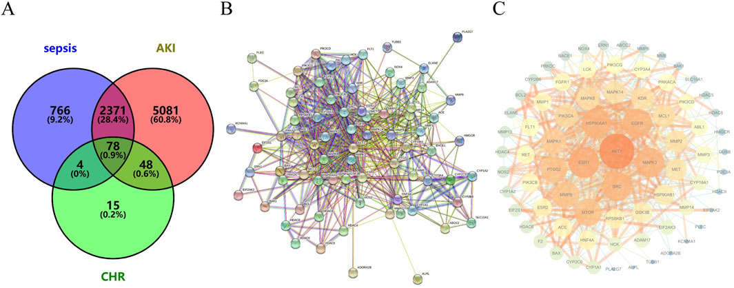 Panel A shows a Venn diagram illustrating the overlap between sepsis, AKI, and CHR, with respective areas showing distinct and overlapping percentages. Panel B depicts a complex protein-protein interaction network with numerous interconnected nodes labeled with gene names. Panel C displays a similar network with nodes of varying sizes and colors, emphasizing central proteins like AKT1.