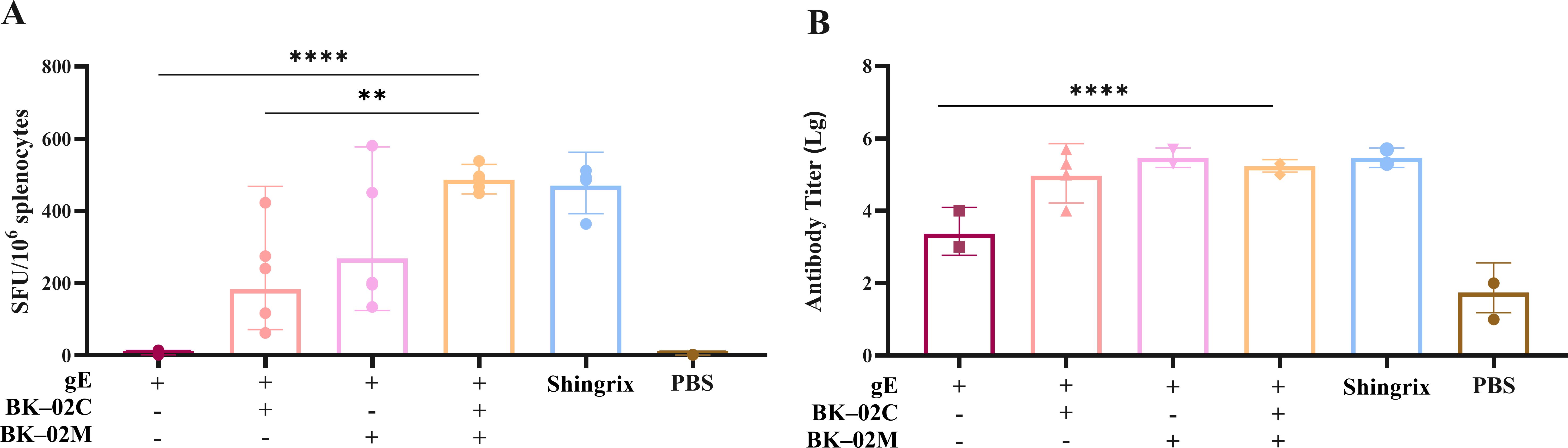 Bar graphs labeled A and B show immunological responses. Graph A illustrates SFU per 10^6 splenocytes, with bars for gE, BK-02C/02M, Shingrix, and PBS. Graph B depicts antibody titers, with the same categories. Statistical significance is marked with asterisks.