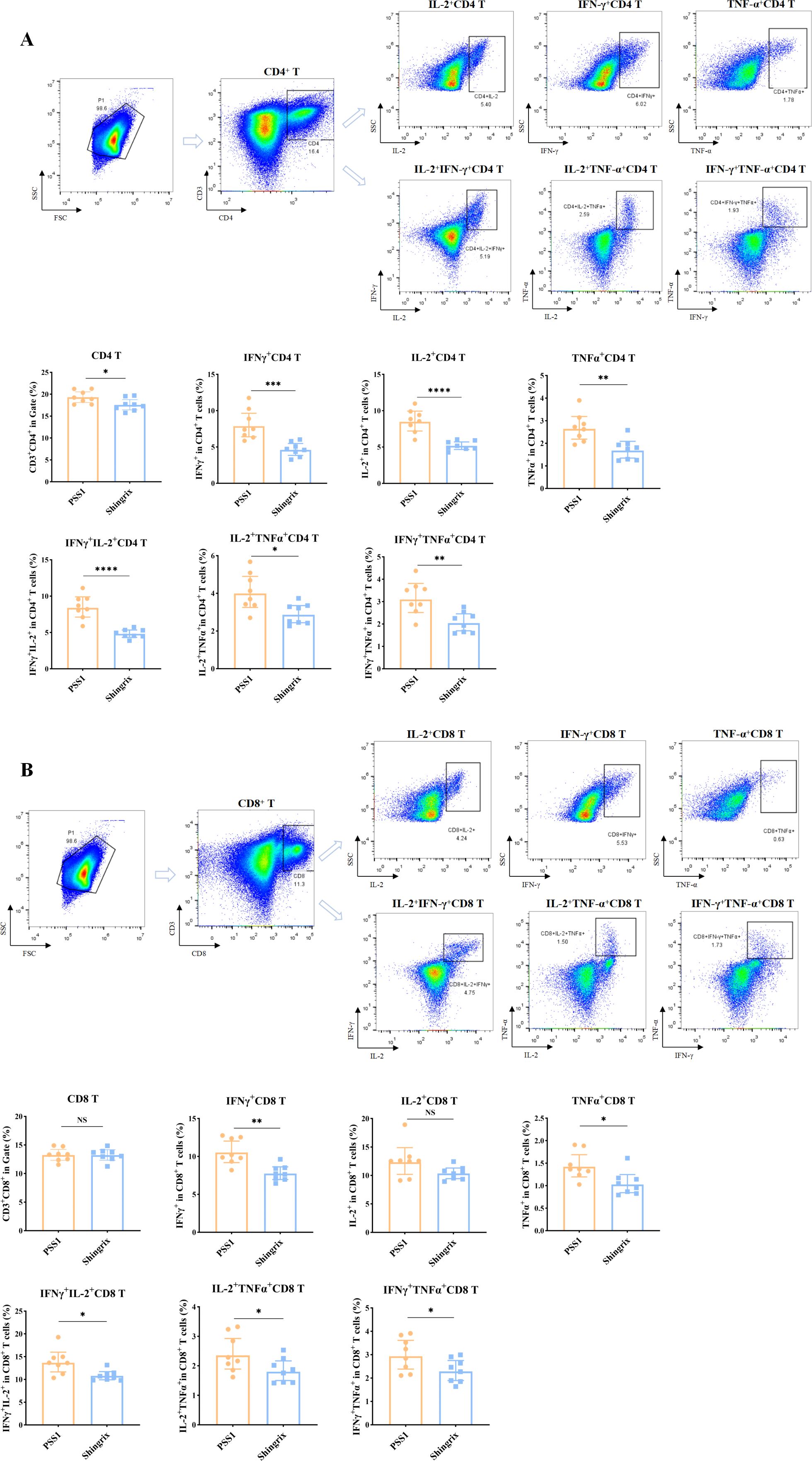 Flow cytometry analysis images depicting CD4 and CD8 T cell populations with associated graphs. Panel A shows CD4 T cells with scatter plots for markers IL-2, IFN-γ, and TNF-α, and bar graphs comparing PSS1 and Shingrix signaling. Panel B displays CD8 T cells with similar scatter plots and bar graphs. Cell populations are analyzed for specific cytokine expressions, showing statistical comparisons indicated by asterisks.
