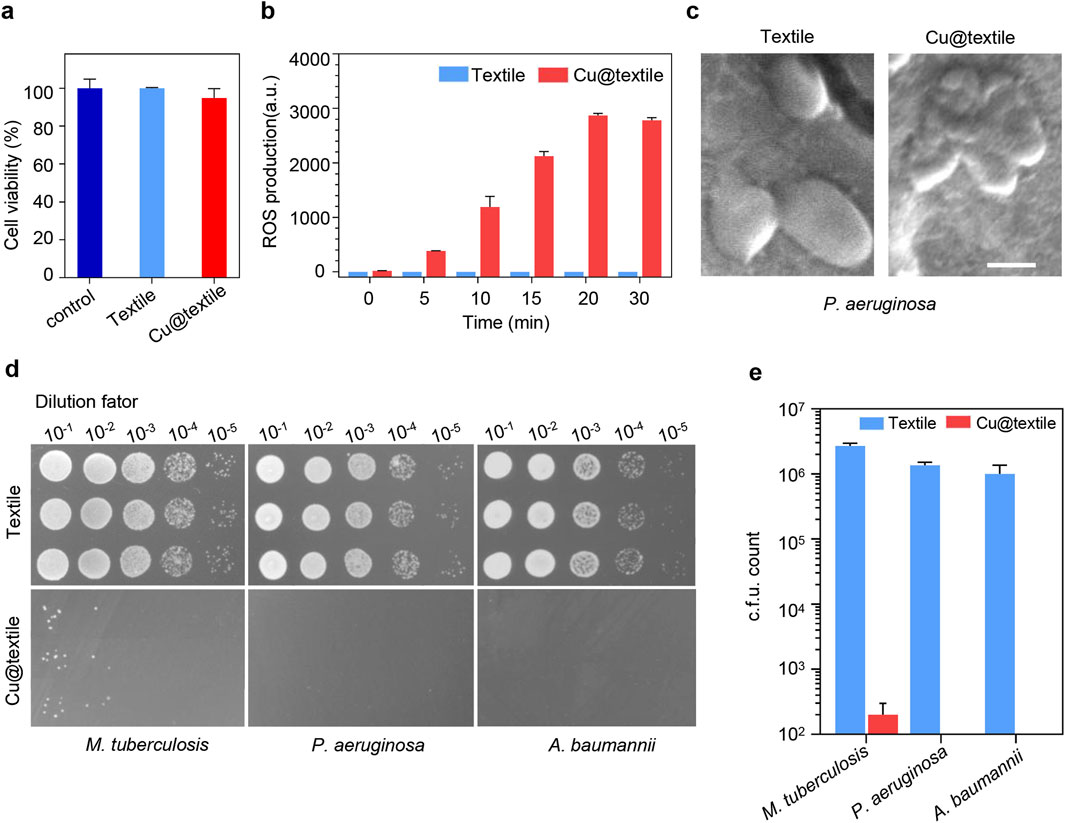 Five-part illustration demonstrating the effect of Cu@textile on bacteria. (a) Bar graph showing cell viability, with similar high levels in control, textile, and Cu@textile samples. (b) Bar graph of ROS production over time, with Cu@textile showing a significant increase compared to textile. (c) Electron micrographs of P. aeruginosa on textile and Cu@textile, showing structural differences. (d) Dilution series images displaying bacterial growth of M. tuberculosis, P. aeruginosa, and A. baumannii on textile and Cu@textile, with reduced growth on Cu@textile. (e) Bar graph showing c.f.u. count, with lower counts for Cu@textile.