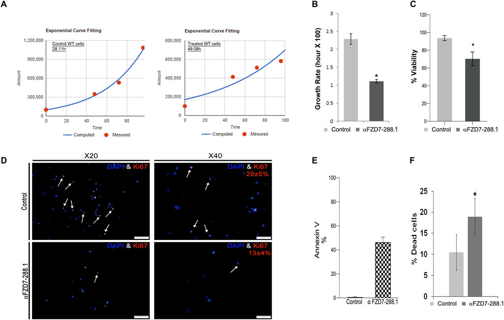 Panel A shows two exponential curve fitting charts comparing control and treated WT cells, indicating a slower growth rate in treated cells. Panel B is a bar graph showing reduced growth rate in treated cells. Panel C is a bar graph illustrating decreased viability in treated cells. Panel D displays fluorescence microscopy images of DAPI and Ki67 staining, indicating fewer proliferating cells in treated samples. Panel E is a bar graph showing Annexin V levels, with increased levels in treated cells. Panel F shows a bar graph displaying a higher percentage of dead cells in the treated group.
