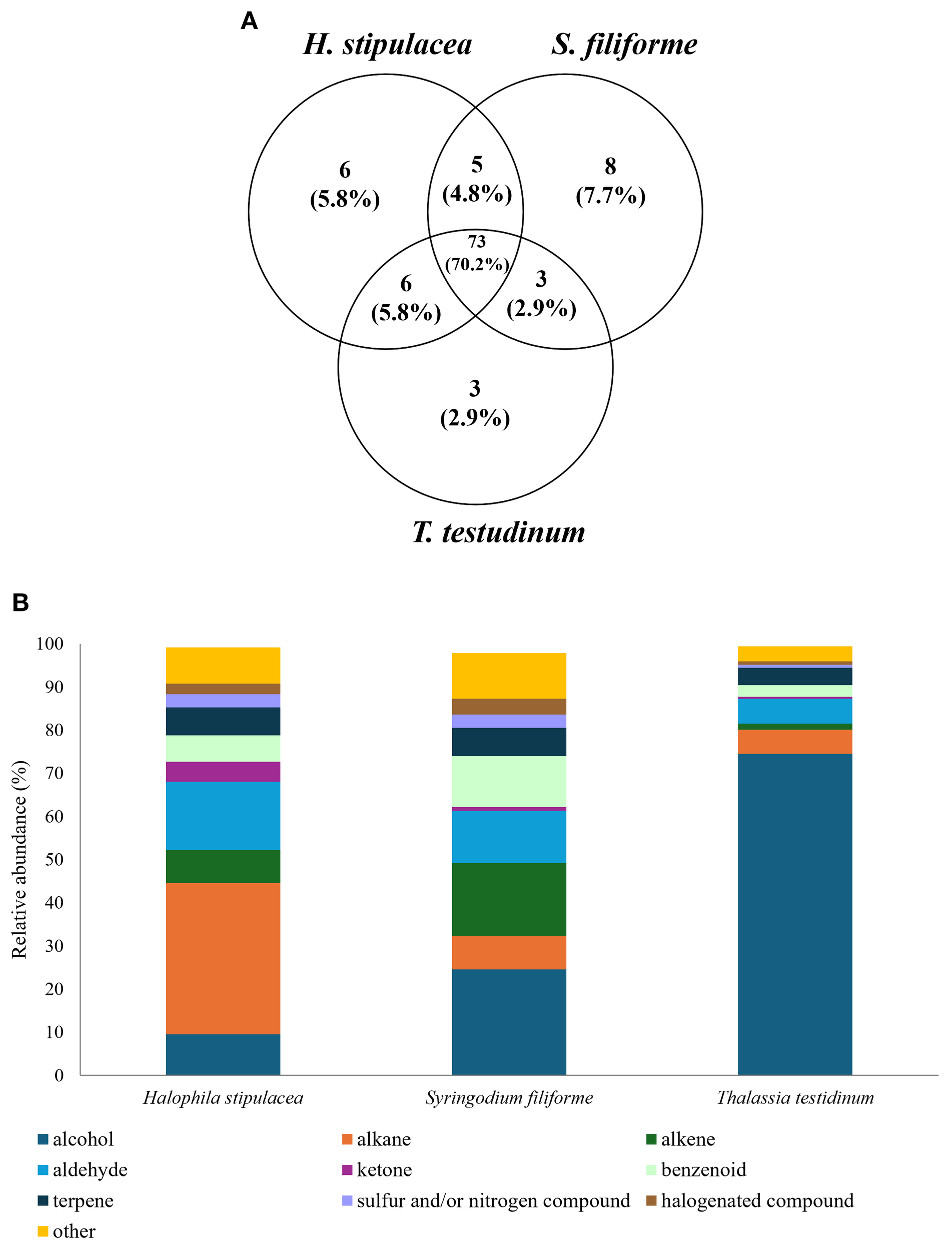 A Venn diagram and a bar chart illustrate associations and chemical compositions of three seagrass species: Halophila stipulacea, Syringodium filiforme, and Thalassia testudinum. In the Venn diagram, the largest overlap shows seventy-three compounds shared by all. The bar chart compares the relative abundance of various compounds like alcohol, alkane, and alkene in each species, with distinctive color codes indicated in the legend.