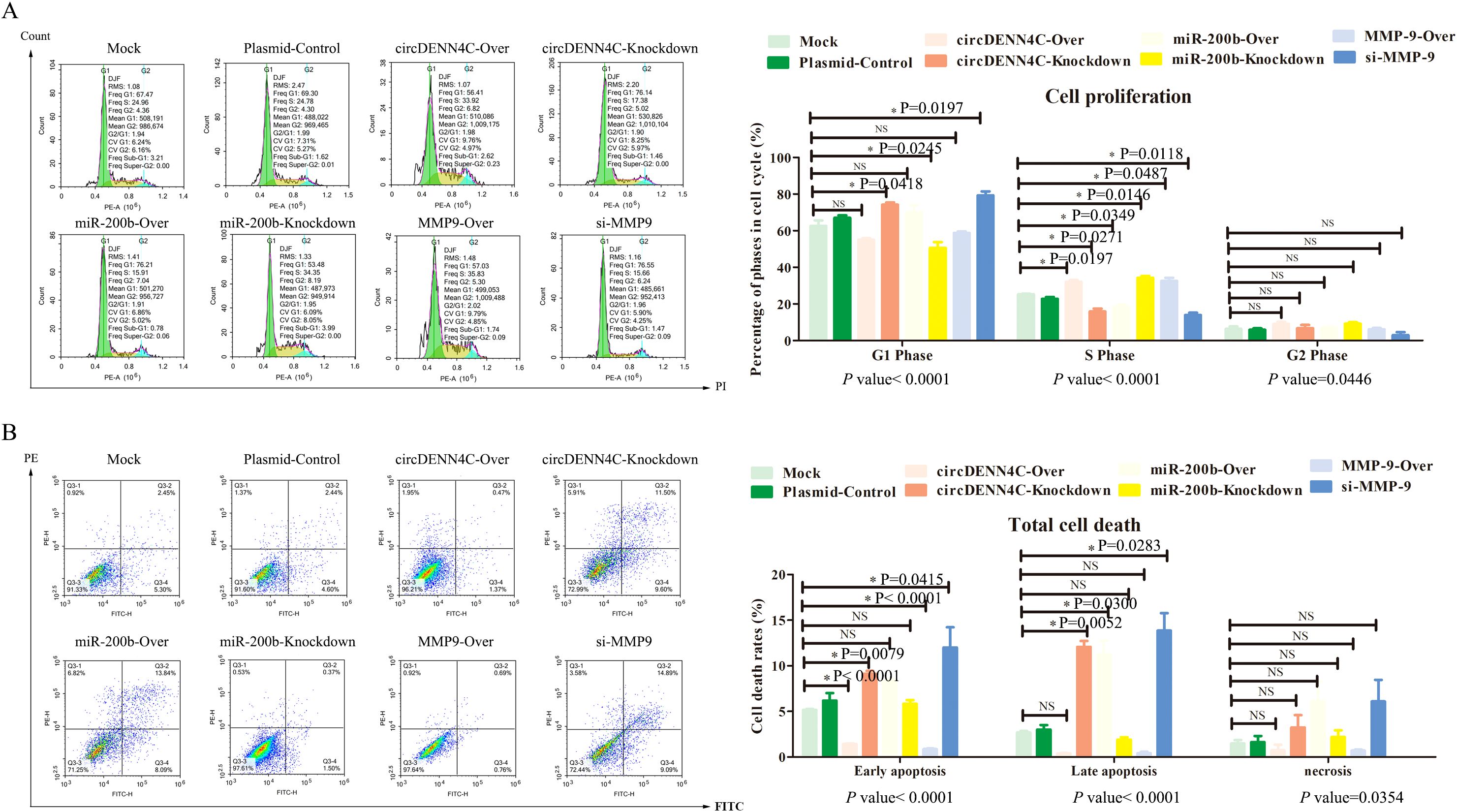 Charts showing cell cycle progression and cell death under various conditions. Part A depicts cell proliferation with flow cytometry plots and a bar graph comparing G1, S, and G2 phase percentages. Part B displays total cell death with scatter plots and a bar chart illustrating early apoptosis, late apoptosis, and necrosis rates. Statistical significance between different treatments is indicated, with some showing “NS” for not significant.