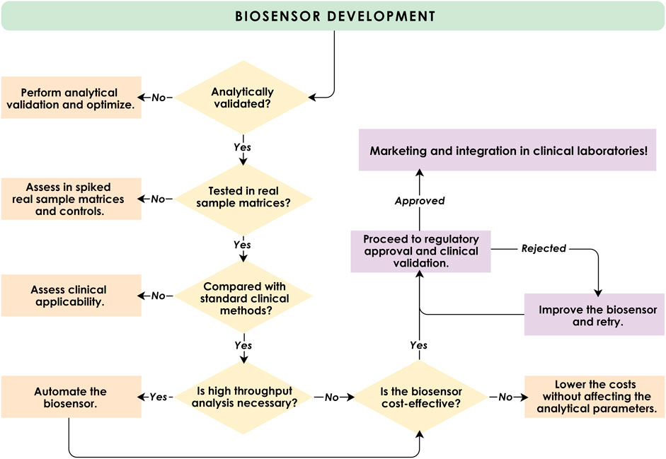 Flowchart titled “Biosensor Development” illustrating the decision-making process in the development of biosensors and the transition of biosensors from research to clinical laboratories. The flowchart considers analytical validation, testing in sample matrices, comparison with standard clinical methods, high throughput, and cost-effectiveness. Following biosensor development, it proceeds to regulatory approval and clinical validation before integration in clinical laboratories.