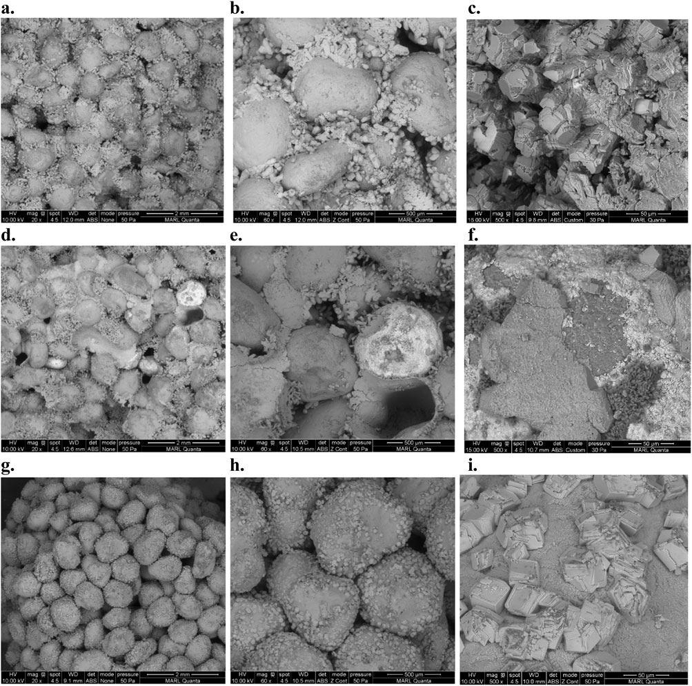 Nine grayscale scanning electron microscope images labeled a to i. Each image shows various microstructures and textures of different mineral or material samples, revealing spherical, crystalline, or granulated formations with different magnifications and scales. The color variations and detailed surface textures highlight the complexity of each sample's composition and physical properties.