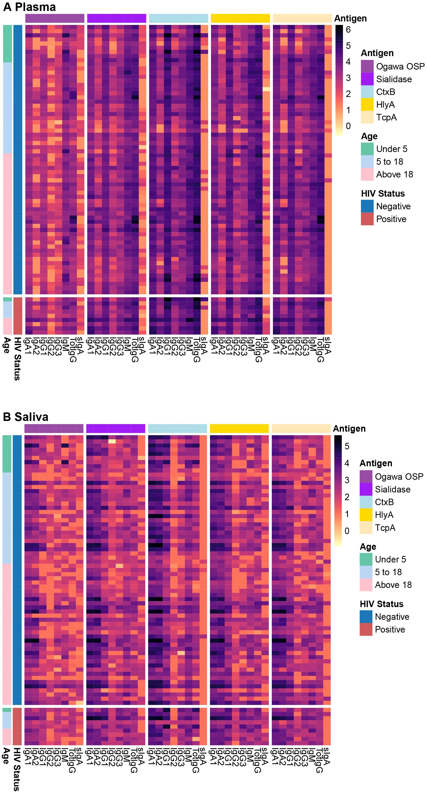 Heatmaps comparing antibody responses to antigens in plasma and saliva samples. Panel A displays responses in plasma; Panel B in saliva. Antigens include Ogawa OSP, Sialidase, CtxB, HlyA, and TcpA. Color scales represent intensity from zero to six. Rows indicate IgA and IgG subclasses, while columns show individual samples categorized by age (under 5, 5 to 18, above 18) and HIV status (negative, positive).