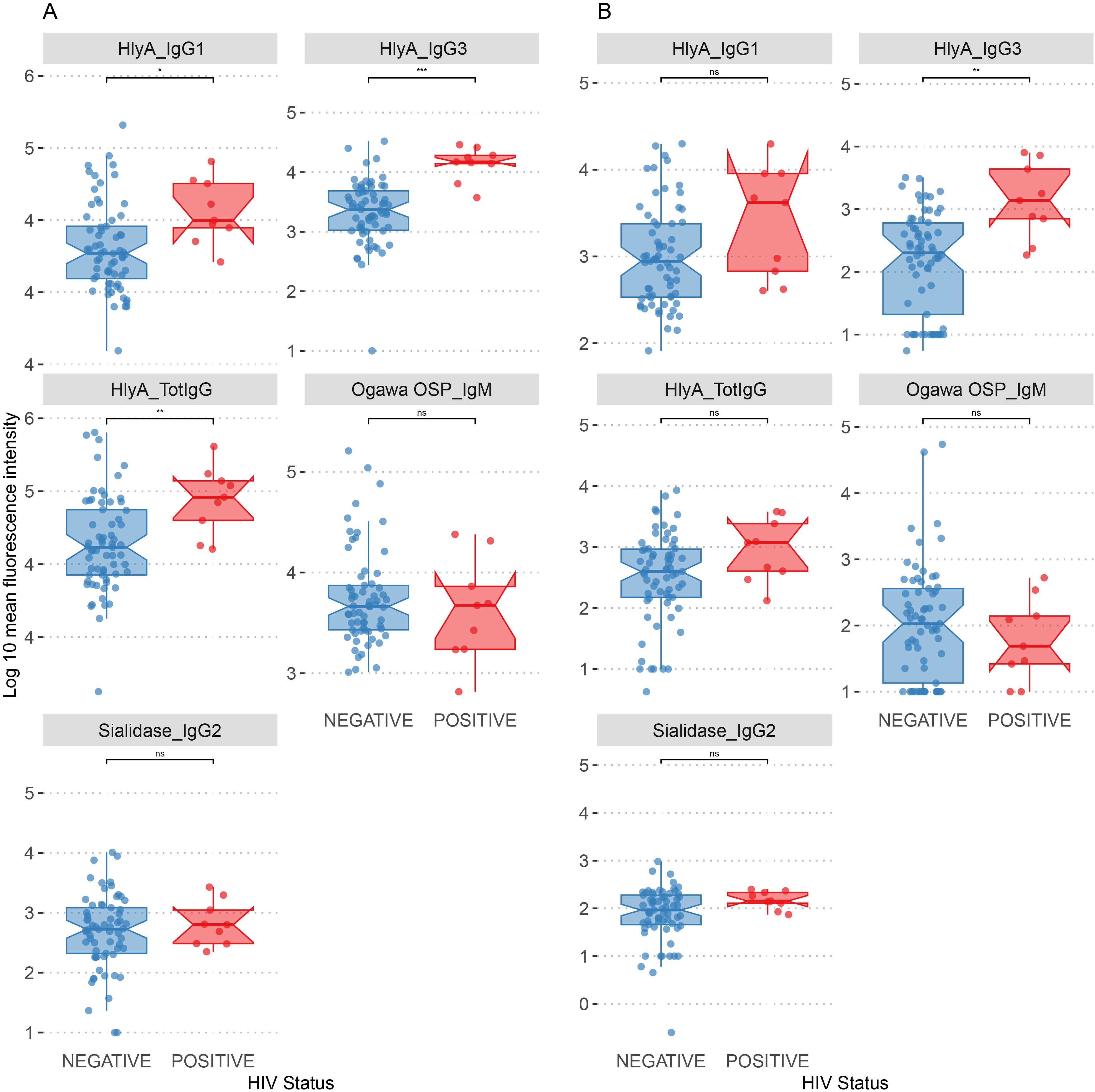 Box plots compare mean fluorescence intensity for different antibodies in individuals with negative and positive HIV status. Panel A shows HlyA_IgG1, HlyA_IgG3, HlyA_TotIgG, Sialidase_IgG2, and Ogawa OSP_IgM with significant differences for some antibodies. Panel B shows similar plots with no significant differences. Measurements are plotted on a log scale.