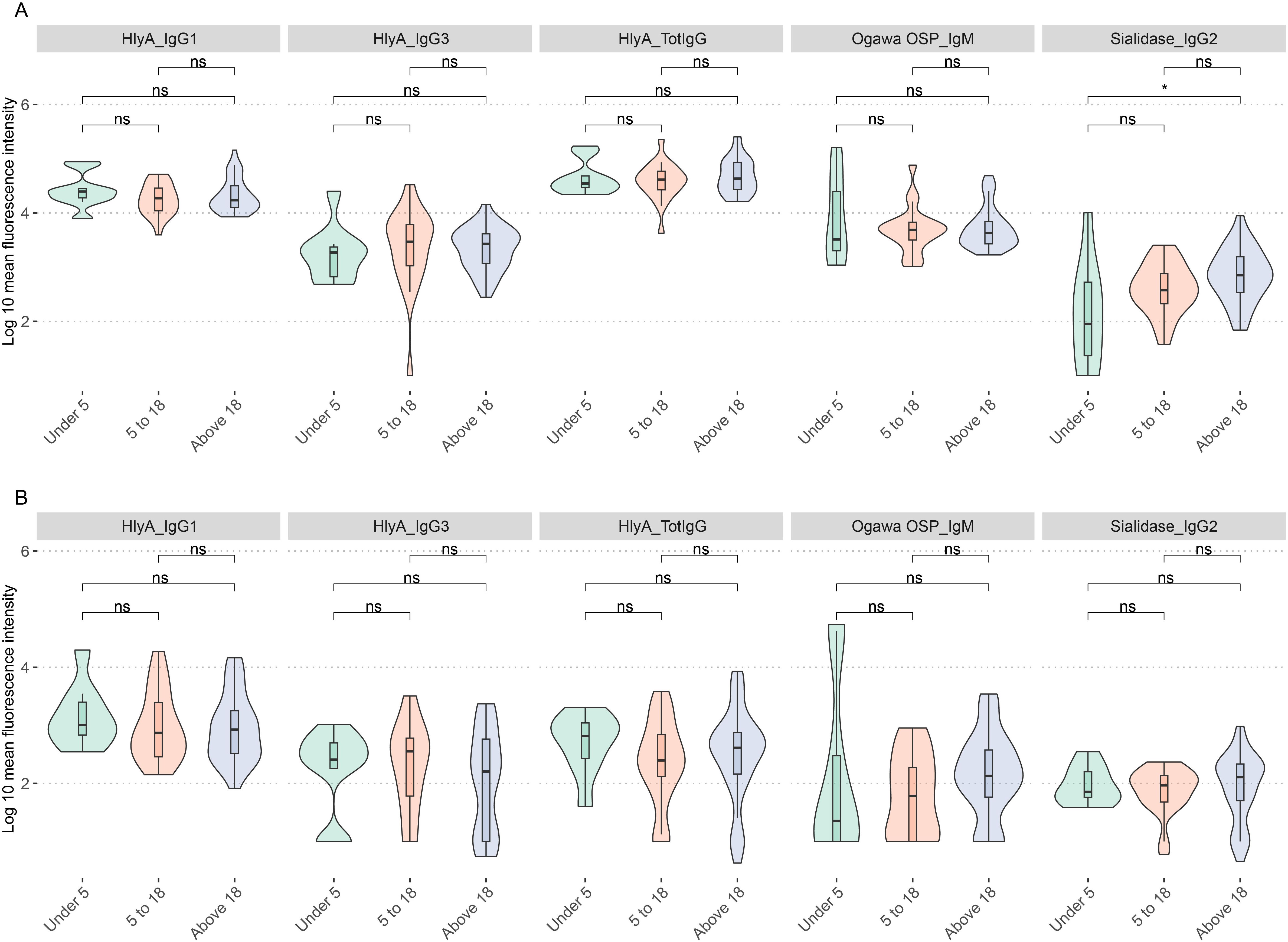 Violin plots compare Log10 mean fluorescence intensity across age groups under 5, 5 to 18, and above 18 for different antibodies: HlyA_IgG1, HlyA_IgG3, HlyA_TotIgG, Ogawa OSP_IgM, and Sialidase_IgG2. The plots show non-significant differences (ns) except for a significant difference (*) between 5 to 18 and above 18 in Sialidase_IgG2 in panel A. Panel B shows similar results without significant differences.