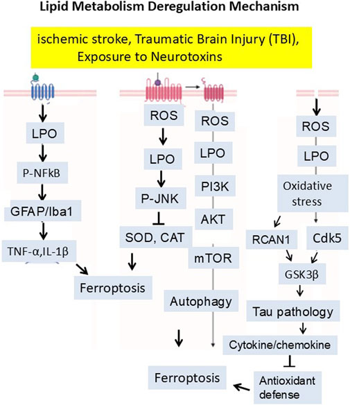 Flowchart titled