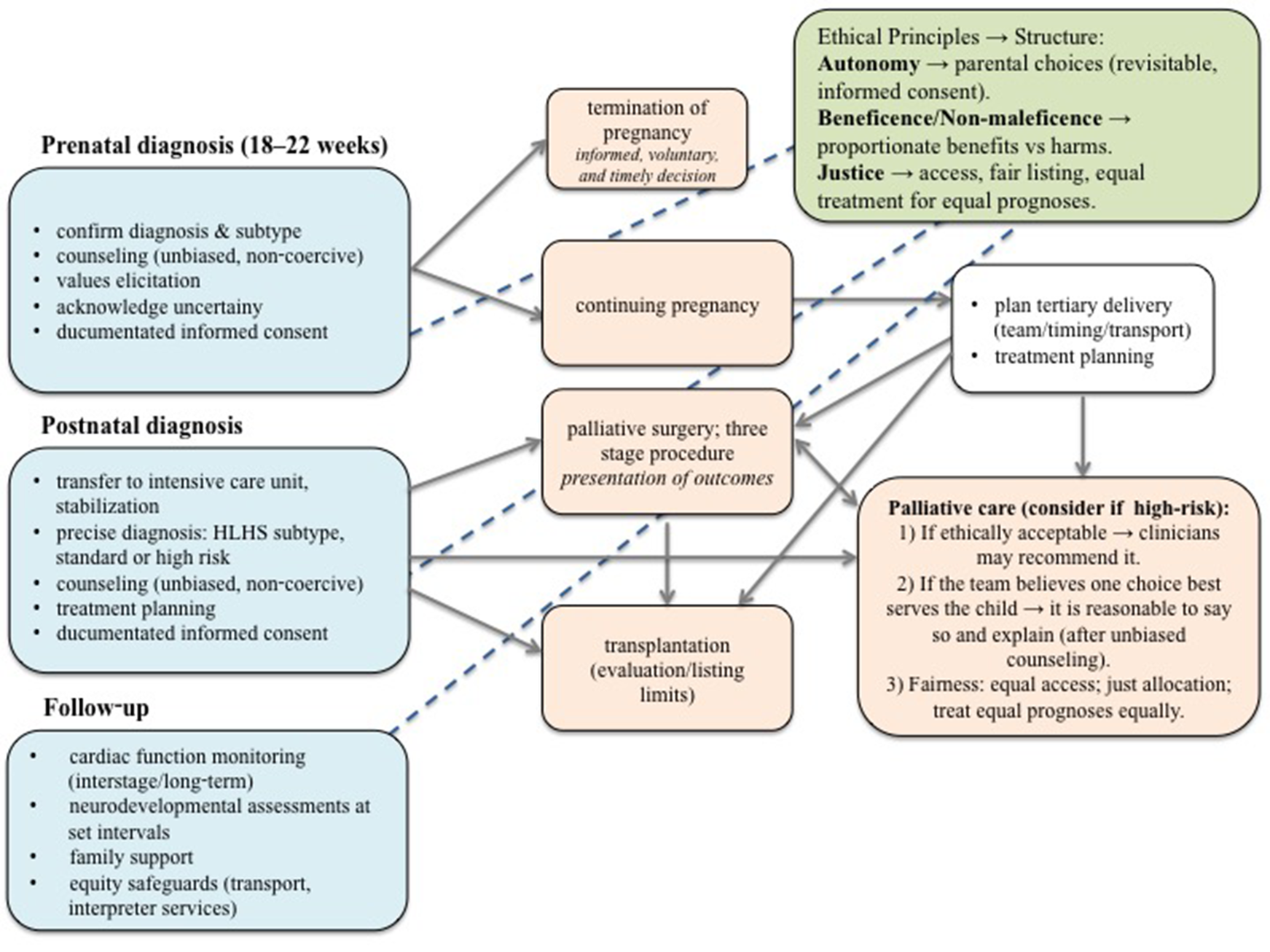 Flowchart detailing decision-making processes in hypoplastic left heart
syndrome, beginning with prenatal diagnosis, extending through postnatal management and long-term follow-up, with potential clinical pathways including termination of pregnancy, continuation with palliative surgery, heart transplantation or palliative care. Ethical considerations are integral through all stages.