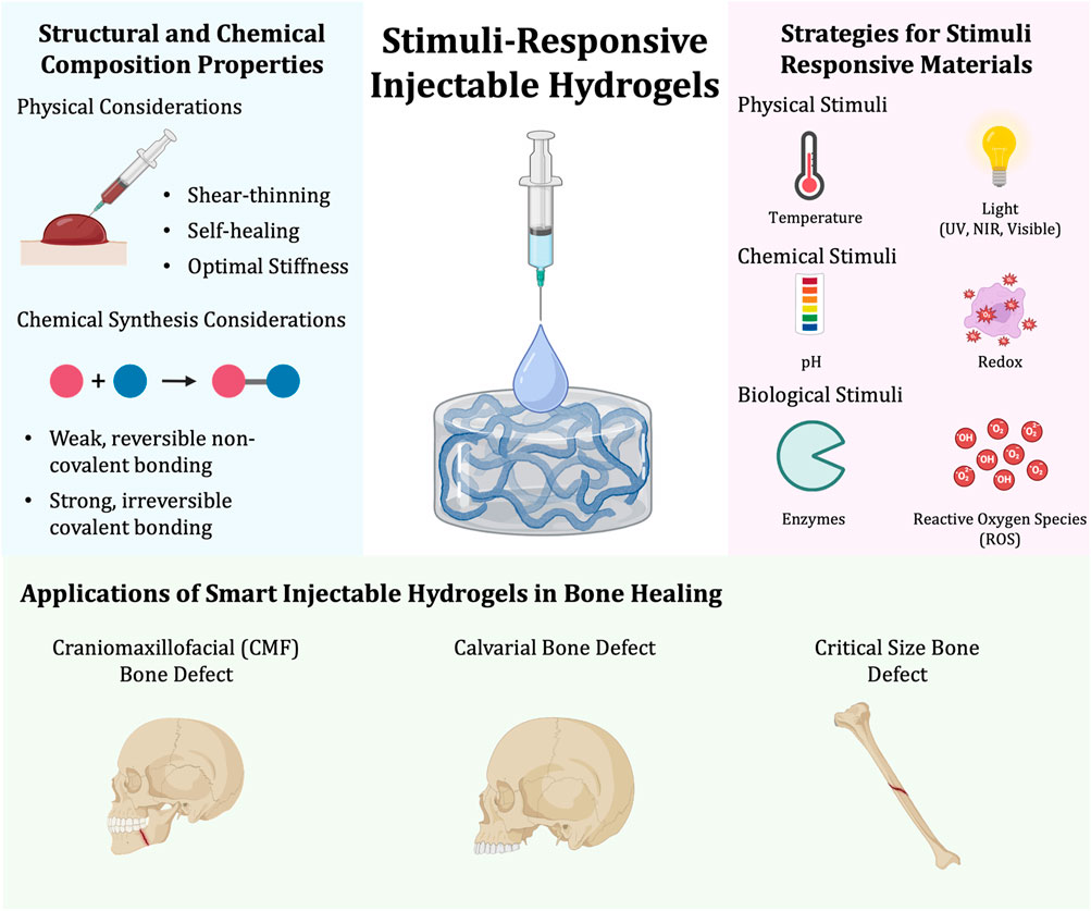 Diagram illustrating stimuli-responsive injectable hydrogels. The left panel shows structural and chemical composition properties, including shear-thinning, self-healing, and bonding considerations. The center panel depicts hydrogel injection into an intricate network. The right panel outlines strategies involving physical, chemical, and biological stimuli like temperature, light, pH, redox, enzymes, and reactive oxygen species. The bottom section demonstrates applications in bone healing, featuring cranio-maxillofacial, calvarial, and critical size bone defects.