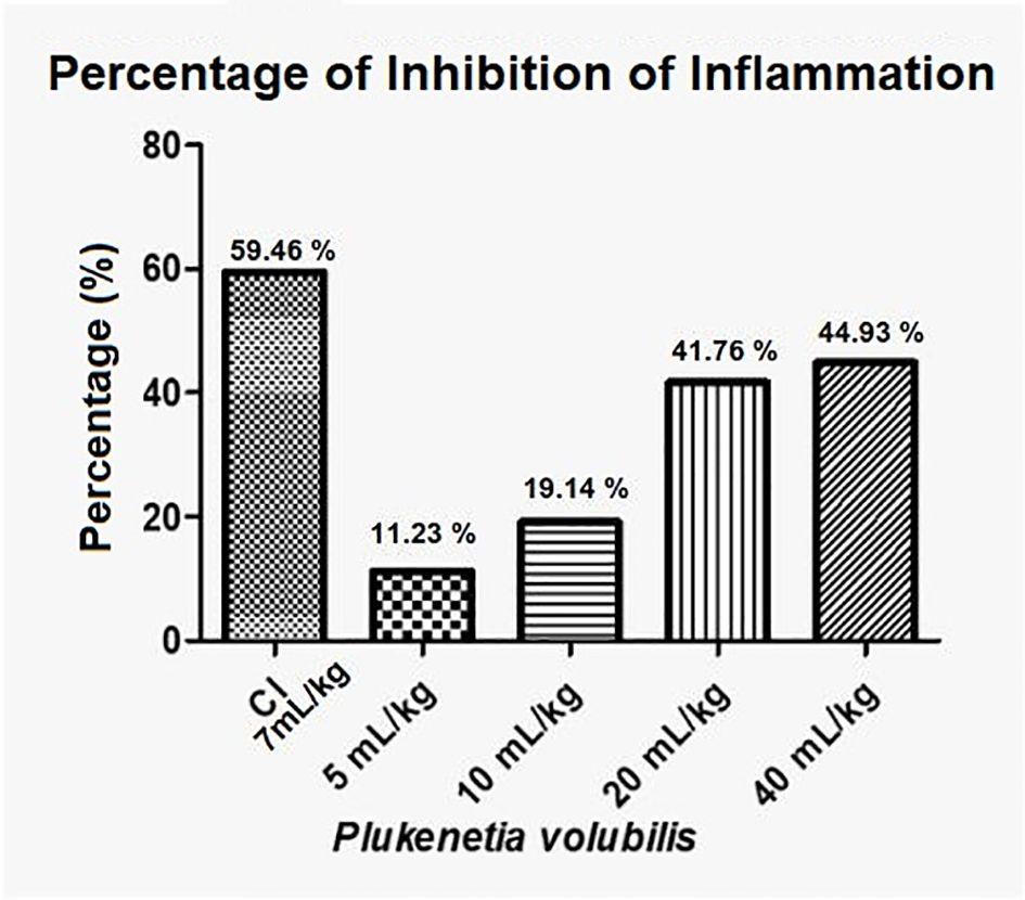 Bar graph showing the percentage inhibition of inflammation by Plukenetia volubilis at different doses. CI 7 mL/kg shows 59.46% inhibition, 5 mL/kg shows 11.23%, 10 mL/kg shows 19.14%, 20 mL/kg shows 41.76%, and 40 mL/kg shows 44.93%.