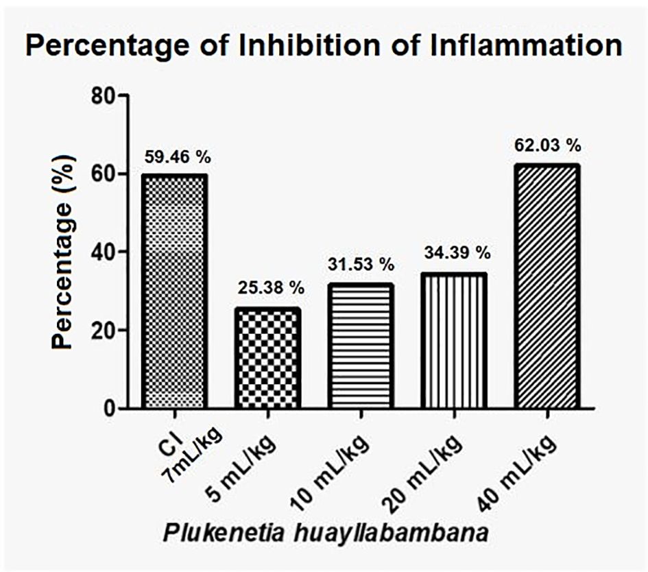 Bar chart showing the percentage of inflammation inhibition by Plukenetia huayllabambana at different dosages. Control group at 7 milliliters per kilogram shows 59.46 percent. Dosages of 5, 10, 20, and 40 milliliters per kilogram show inhibition percentages of 25.38, 31.53, 34.39, and 62.03 percent, respectively.