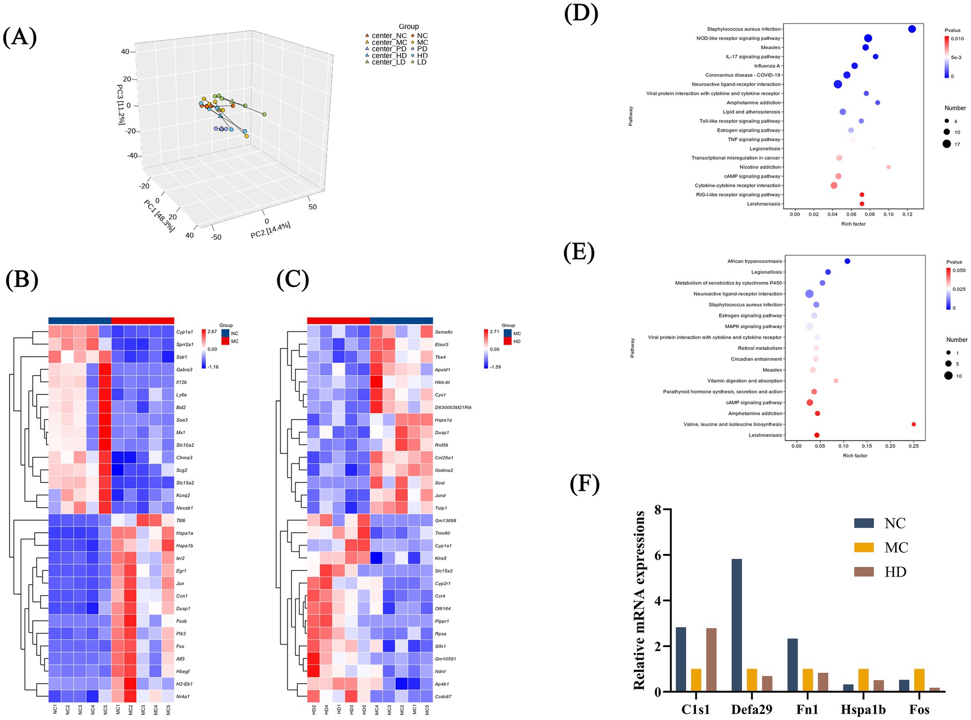 (A) 3D PCA plot showing groups NC, MC, PD, HD, and LD. (B, C) Heatmaps depicting gene expression, with colors representing expression levels of NC and MC and MC and HD. (D, E) Bubble plots illustrating pathways with varying p-values and numbers, related to cytokine interaction and signaling pathways. (F) Bar graph comparing relative mRNA expressions of genes C1s1, Defa29, Fn1, Hspa1b, and Fos across NC, MC, and HD groups.