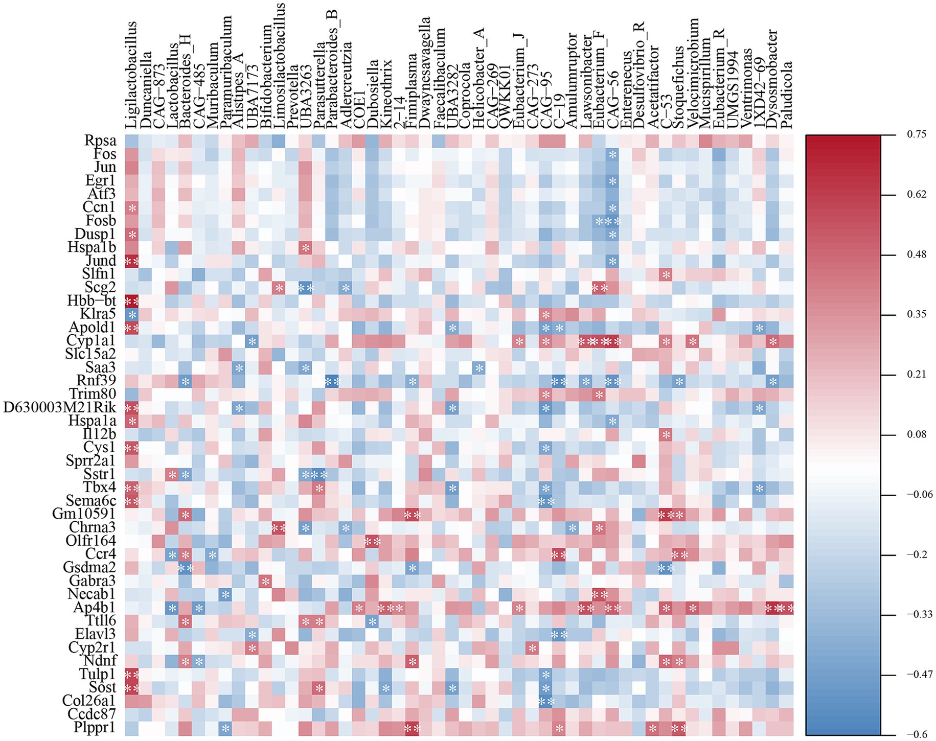Heatmap displaying correlation data between different genes and microbial taxa. Rows represent microbial taxonomic groups, columns represent genes. Colors range from blue (negative correlation) to red (positive correlation), with shades indicating correlation strength. A color scale on the right shows values from negative 0.6 to positive 0.75.