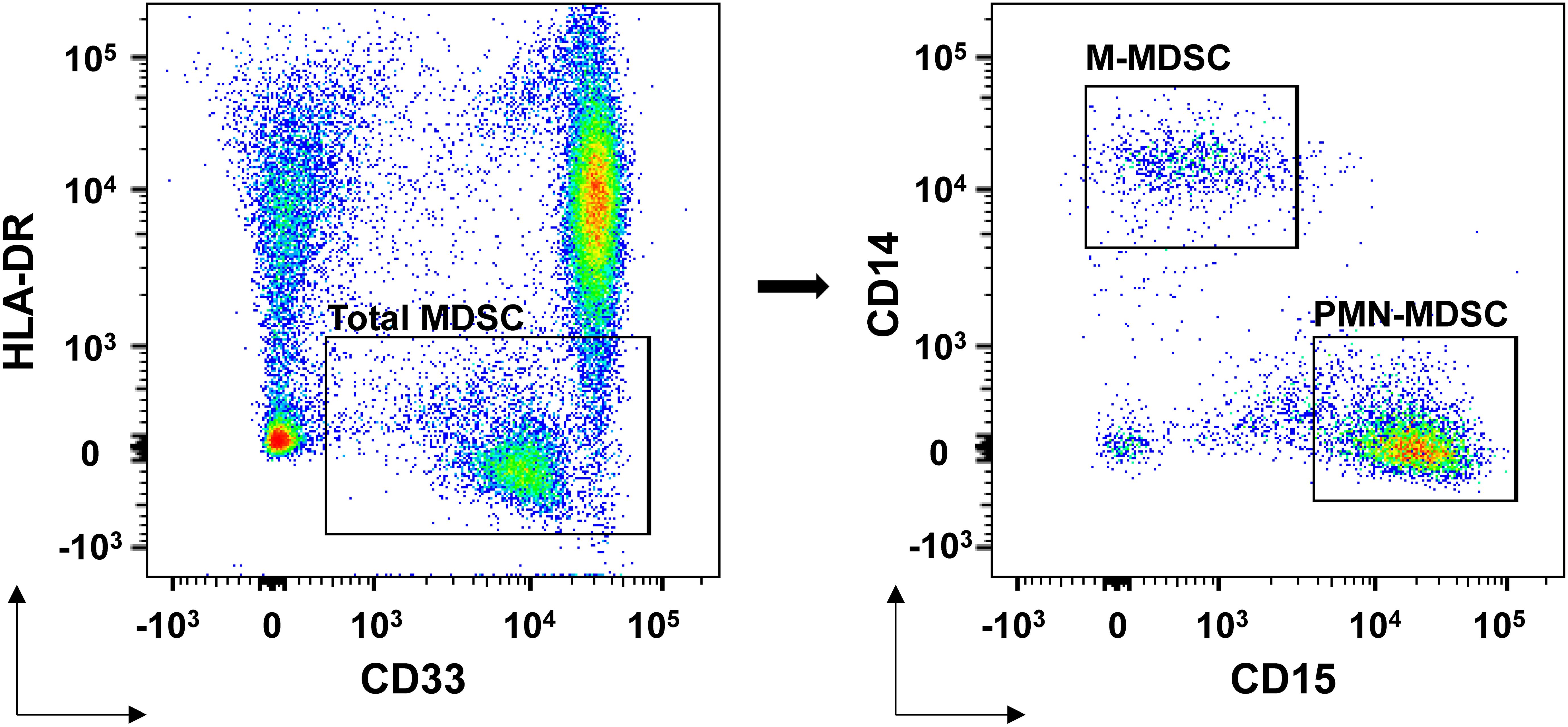 Flow cytometry plots analyzing myeloid-derived suppressor cells (MDSCs). The left plot shows total MDSCs with HLA-DR versus CD33 axes. The right plot differentiates M-MDSC and PMN-MDSC subpopulations with CD14 versus CD15 axes. Densely clustered dots indicate cell populations.