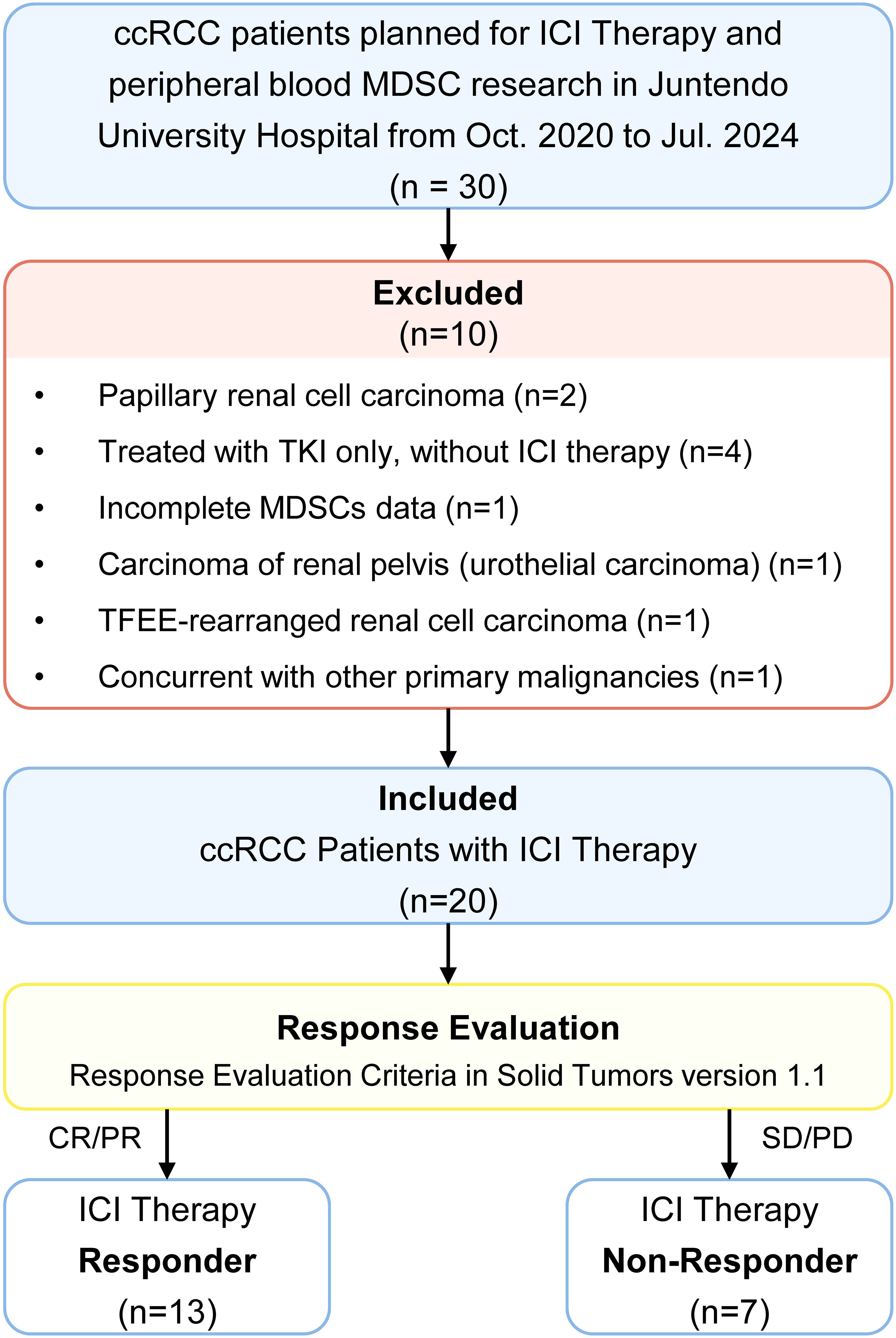 Flowchart showing selection and response evaluation of ccRCC patients planned for ICI Therapy from October 2020 to July 2024 at Juntendo University Hospital. Out of 30 patients, 10 were excluded due to various reasons such as different carcinoma types and incomplete data. Twenty patients were included for ICI Therapy. Response evaluation based on Solid Tumors criteria categorized patients into 13 responders and 7 non-responders.