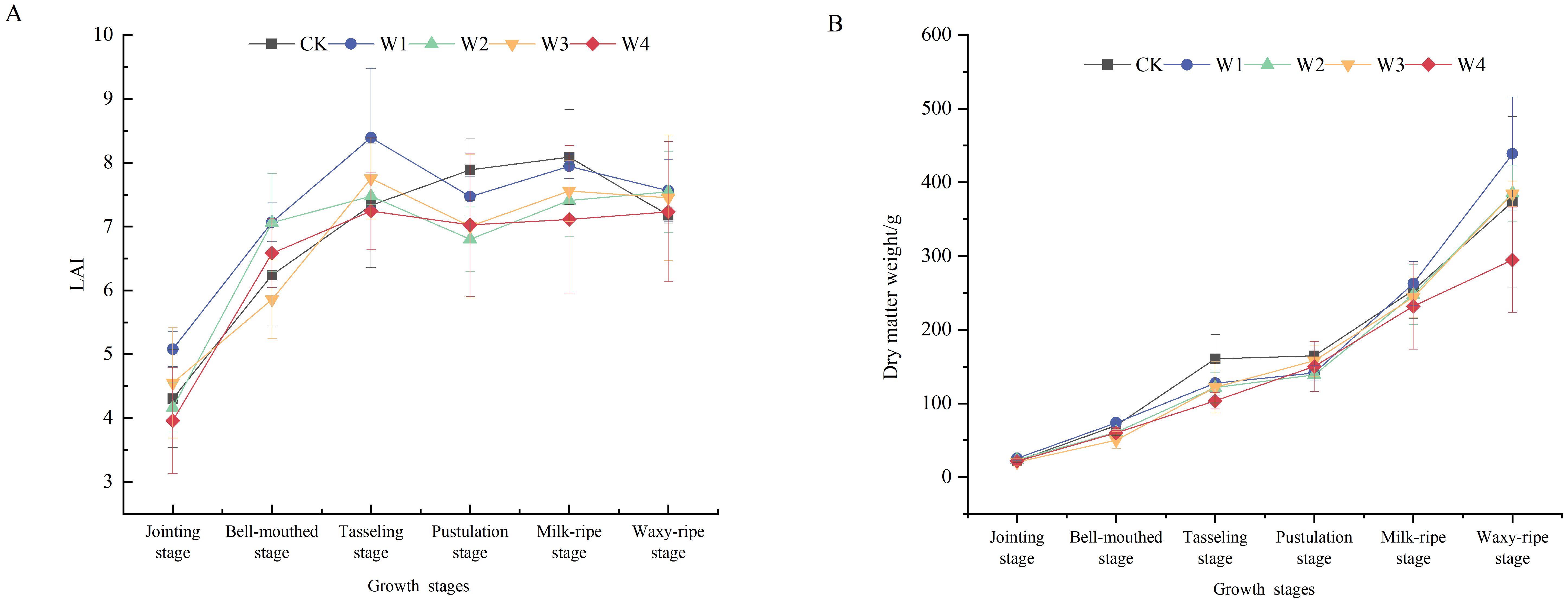 Graph A displays the LAI (Leaf Area Index) changes across growth stages, with peaks at the tasseling stage for all treatments (CK, W1, W2, W3, W4). Graph B shows dry matter weight increasing consistently across growth stages, with W1 having the highest values at the waxy-ripe stage. Error bars indicate variability, and different treatments are identified by colored markers.