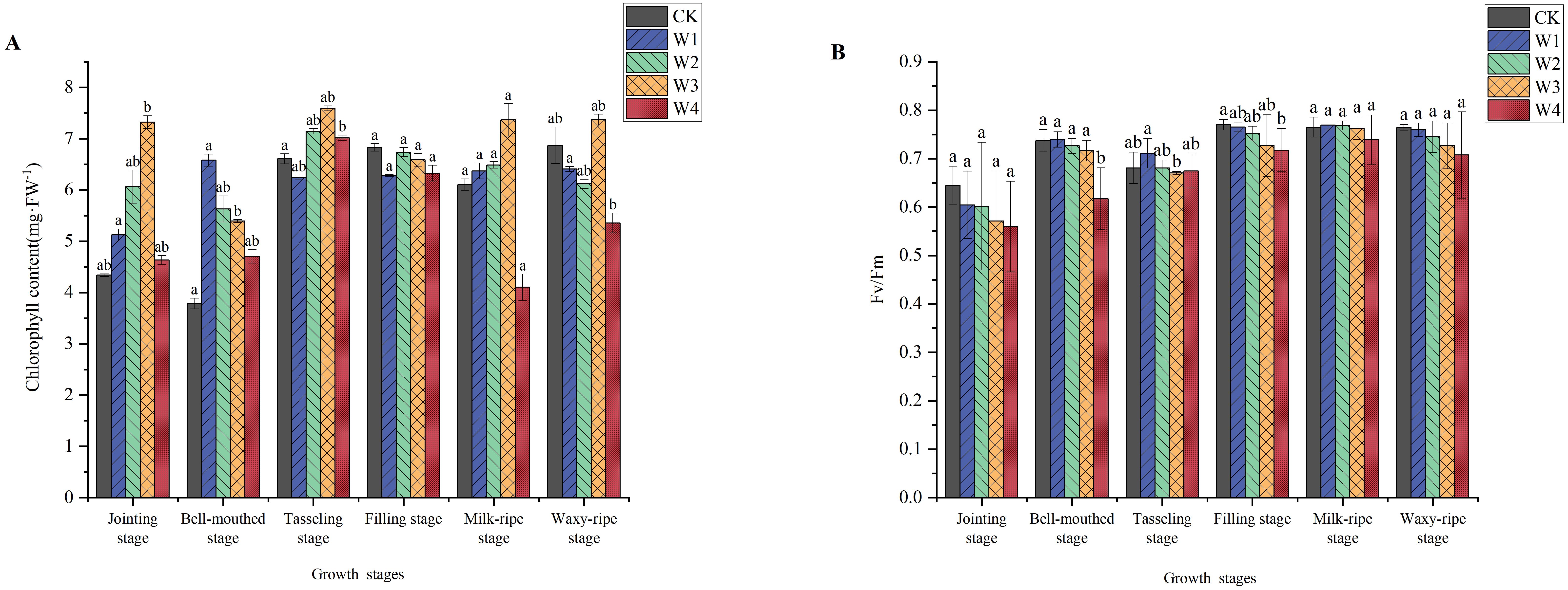 Two bar graphs labeled A and B show chlorophyll content and Fv/Fm values across five different plant growth stages: jointing, bell-mouthed, tasseling, filling, milk-ripe, and waxy-ripe. Bars are color-coded for treatments CK, W1, W2, W3, and W4. Graph A indicates higher chlorophyll content during the bell-mouthed and tasseling stages. Graph B shows similar Fv/Fm values across all stages with minor variations among treatments. Different letters above the bars denote statistical significance.