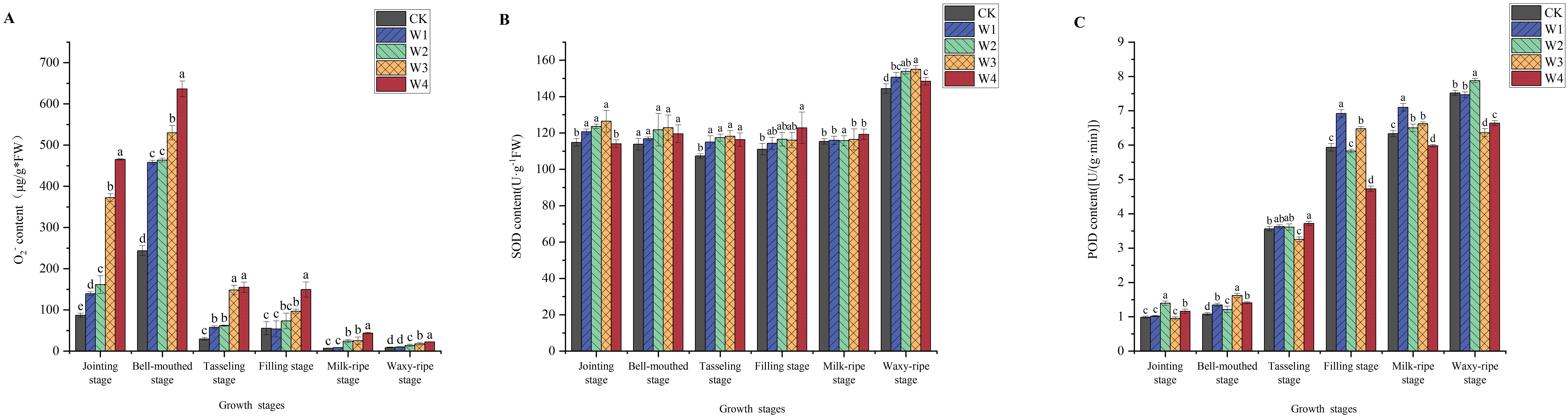 Three bar charts labeled A, B, and C display O2, SOD, and POD content respectively across six stages: Jointing, Bell-mouthed, Tasseling, Filling, Milk-ripe, and Waxy-ripe. Each chart compares five treatment groups: CK, W1, W2, W3, and W4, shown in distinct colors and patterns. Stage-specific variations are evident, with A peaking at Bell-mouthed, B showing consistent levels across stages, and C increasing from Jointing to Waxy-ripe. Each bar is annotated with statistical significance markers.
