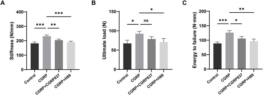 Bar graphs labeled A, B, and C show different mechanical properties based on various treatments: Control, CGRP, CGRP+CGRP837, and CGRP+H89. Graph A displays stiffness in N/mm, with significantly higher values for CGRP, CGRP+CGRP837, and CGRP+H89 compared to Control. Graph B shows ultimate load in N, with significant differences for all but the CGRP+CGRP837 comparison. Graph C presents energy to failure in N·mm, with significant increases in the treatment groups compared to Control. Asterisks indicate levels of significance.