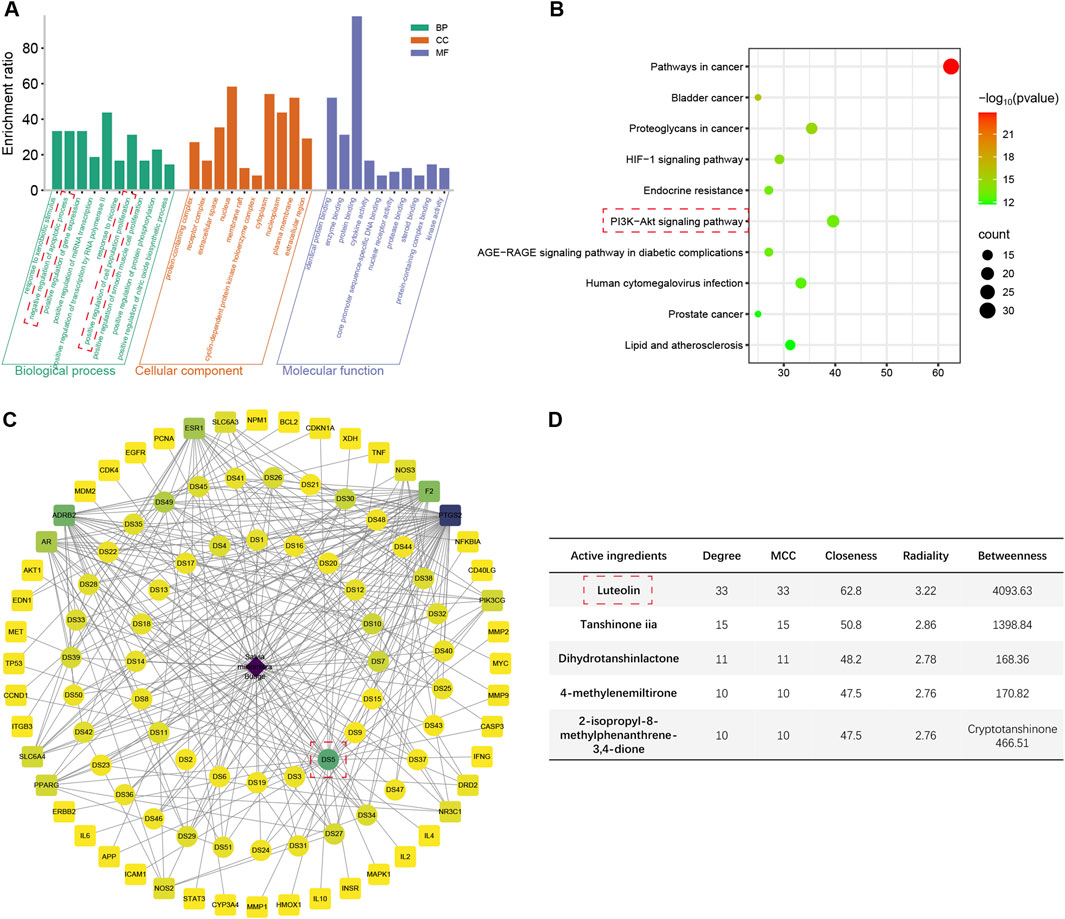 Panel A displays a bar chart illustrating enrichment ratios for biological processes, cellular components, and molecular functions. Panel B shows a bubble chart of significant signaling pathways, colored by p-value and sized by count. Panel C features a complex network diagram connecting various active ingredients and targets. Panel D presents a table listing active ingredients with metrics such as degree, MCC, closeness, radiality, and betweenness. Luteolin is highlighted in both the diagram and table.