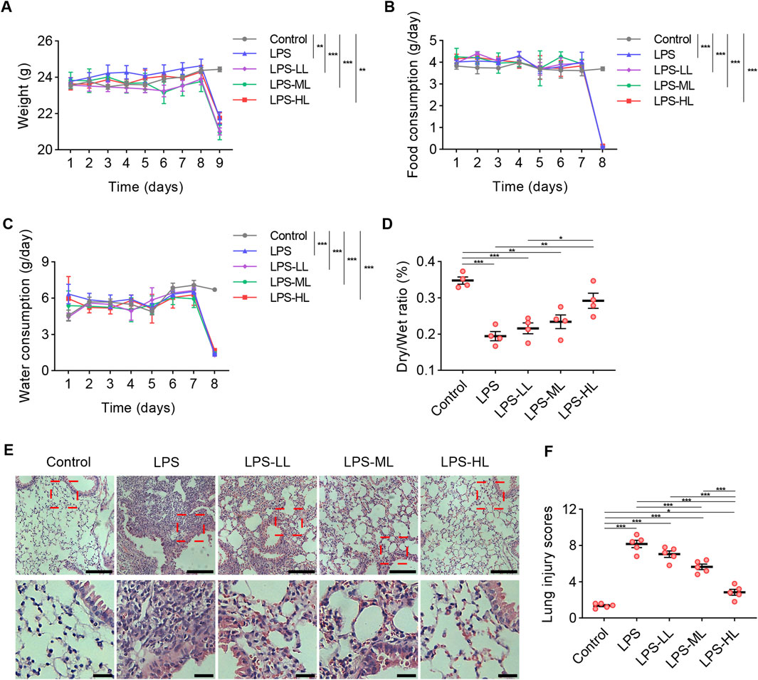 Graphs and microscopy images depict the effects of treatments on mice. Graph A shows weight over time, Graph B food consumption, and Graph C water consumption with different treatments. Graph D illustrates dry/wet lung ratio percentages, showing significant differences. Microscopy images E show lung tissue under various treatments, with control and LPS doses visibly affecting tissue structure. Graph F presents lung injury scores, indicating varied impact among treatments.