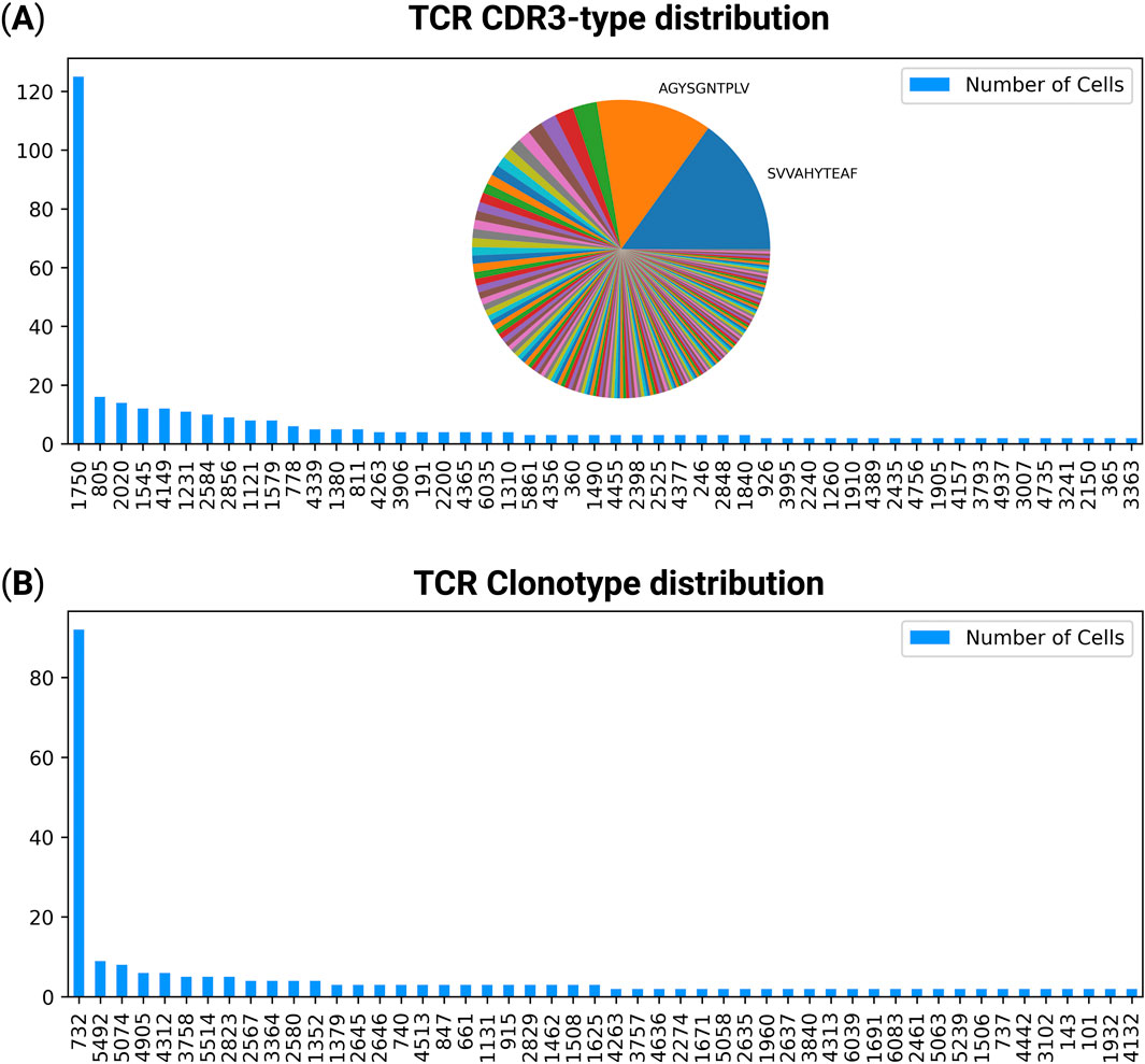 Panel A shows a bar chart and a pie chart representing TCR CDR3-type distribution, highlighting the segments AGYSGNTPLV and SVVAHYTEAF. Panel B displays a bar chart of TCR clonotype distribution, with cell counts gradually decreasing across various identifiers. Both visuals use blue bars to indicate the number of cells.