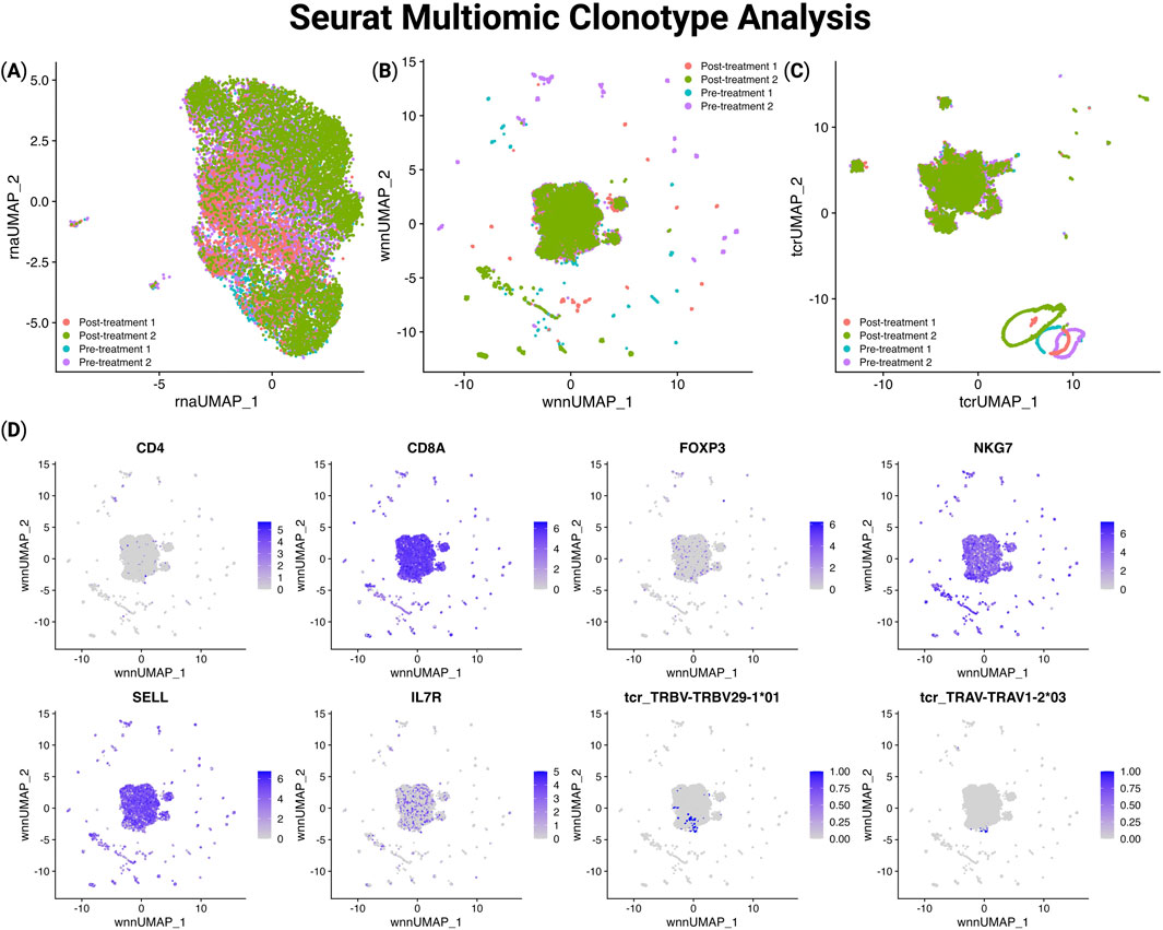 Seurat Multinomic Clonotype Analysis displays four panels (A-D). Panel A shows rnaUMAP, B shows wnnUMAP, and C shows tcrUMAP plots with clustering by treatment phases: Post-treatment 1 and 2, Pre-treatment 1 and 2, each represented by different colors. Panel D presents wnnUMAP plots for specific genes (CD4, CD8A, FOXP3, NKG7, SELL, IL7R, tcr_TRBV_TRBV29-1*01, tcr_TRAV_TRAV1-2*03) with intensity scales. Each plot shows cell distribution and gene expression levels.