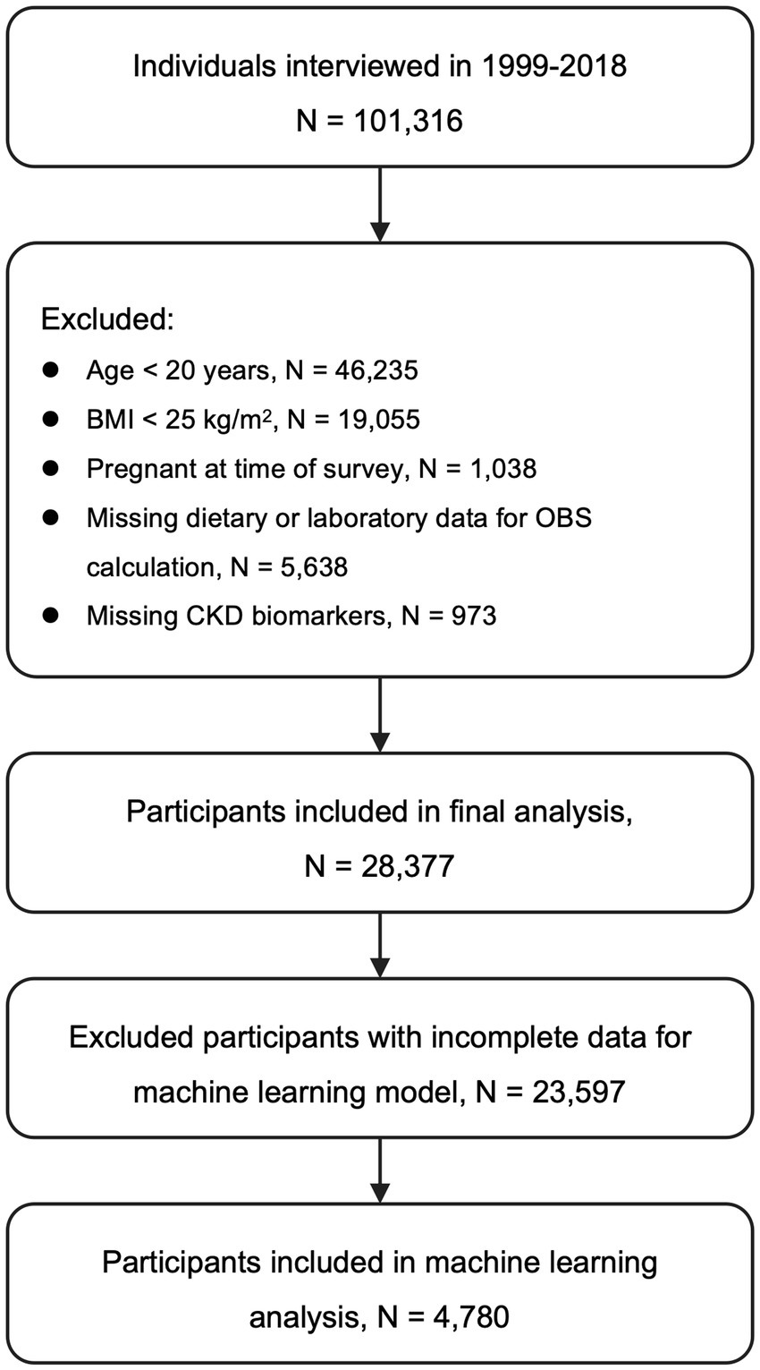 Flowchart showing participant selection process. Initially, 101,316 individuals were interviewed from 1999 to 2018. Exclusions: under 20 years old (46,235), BMI under 25 (19,055), pregnant (1,038), missing dietary/lab data (5,638), missing CKD biomarkers (973). Final analysis included 28,377 participants. From these, 23,597 with incomplete data for machine learning were excluded, leaving 4,780 for machine learning analysis.