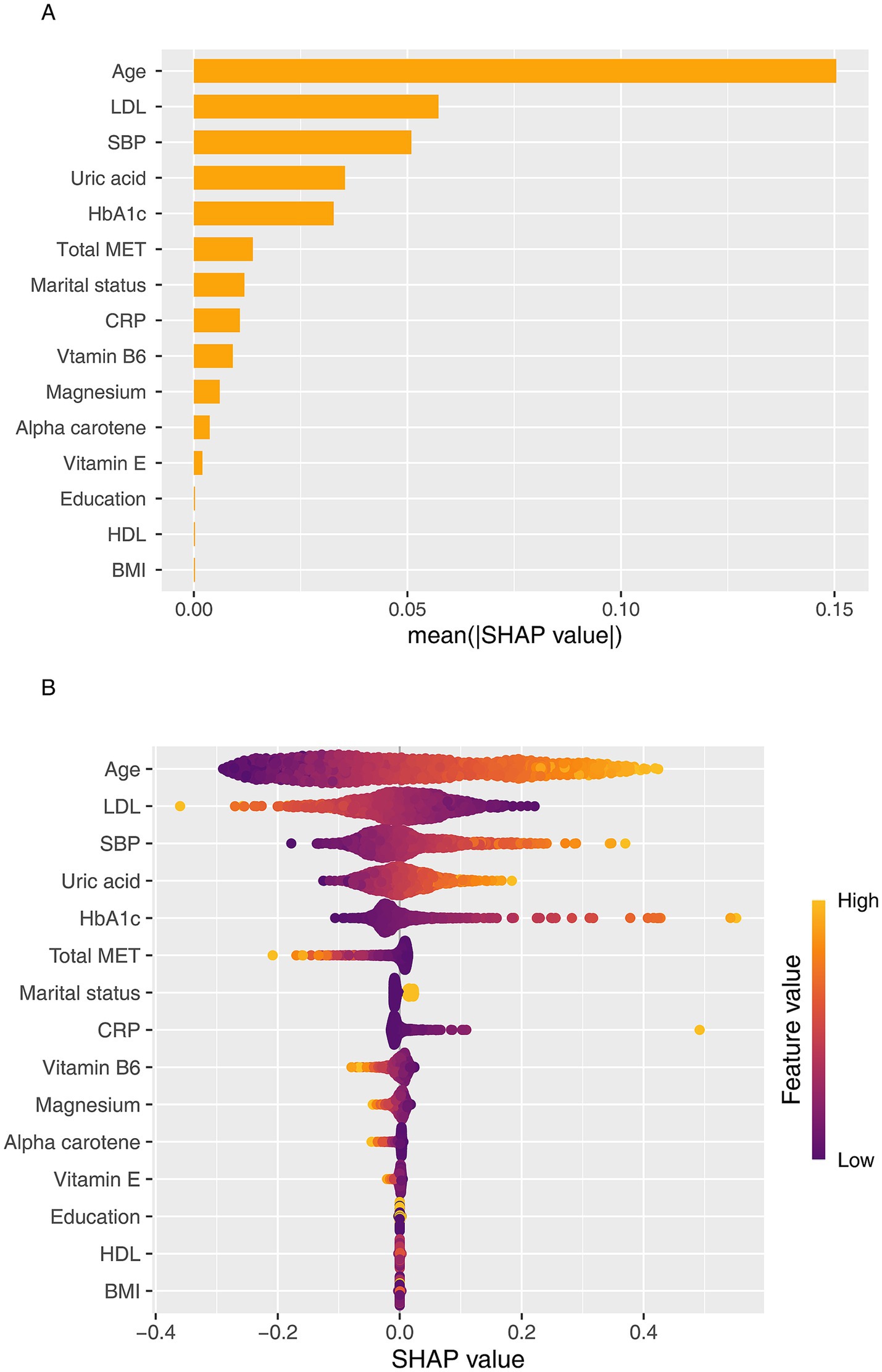 Panel A presents a bar chart showing the mean absolute SHAP values for various features, with age having the highest importance. Panel B displays a SHAP summary plot with feature impacts. Age, LDL, SBP, uric acid, and HbA1c show significant SHAP values. Colors represent feature values, ranging from low (purple) to high (yellow).