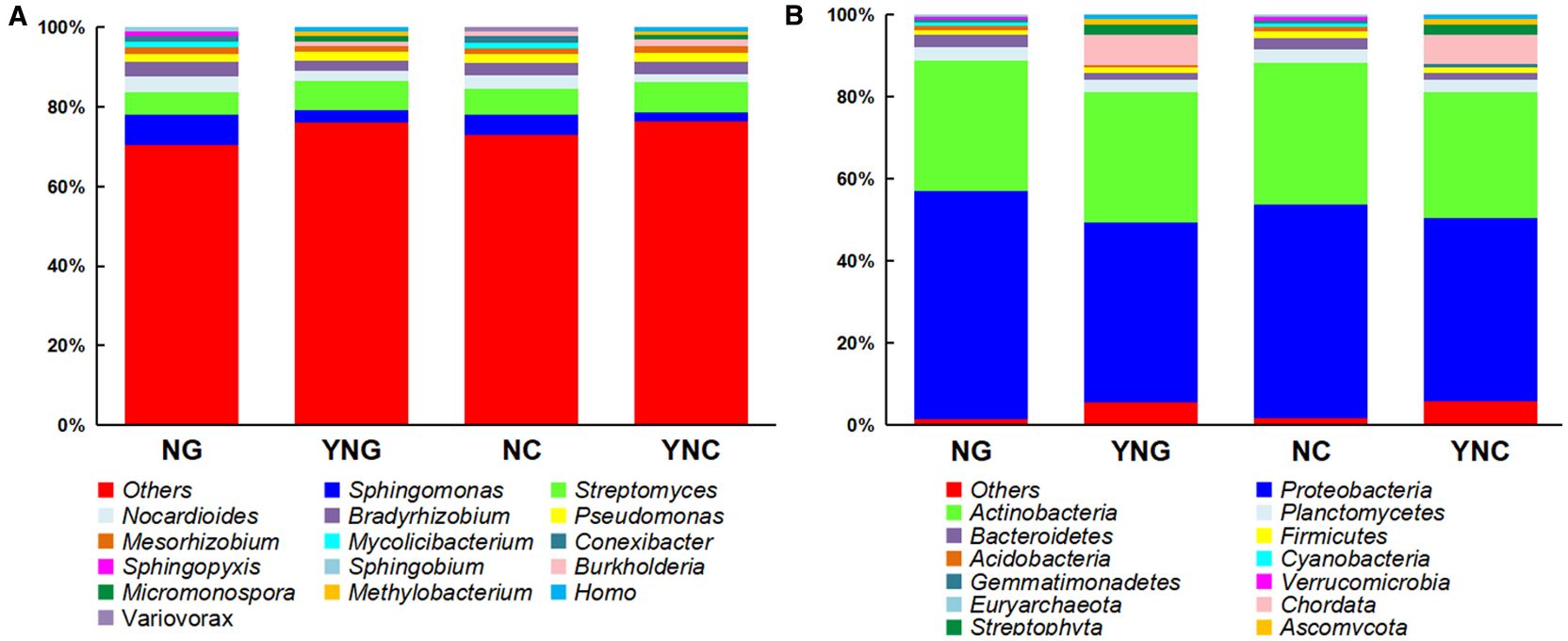 Bar charts labeled A and B compare microbial compositions across four groups: NG, YNG, NC, and YNC. Chart A shows a high proportion of the red category “Others” in all groups, with lesser contributions from other categories like Sphingomonas and Streptomyces. Chart B highlights a significant presence of the blue category “Proteobacteria” and the green category “Actinobacteria” across all groups, alongside smaller percentages of other categories such as Firmicutes and Cyanobacteria.