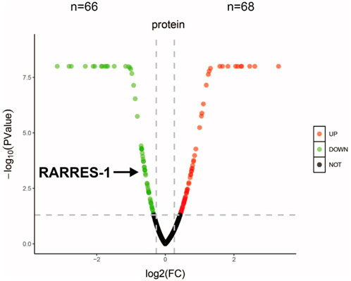 Volcano plot showing differential protein expression with log2 fold change on the x-axis and negative log10 P-value on the y-axis. Green dots indicate downregulated proteins and red dots indicate upregulated proteins. The black dots represent proteins with no significant change.