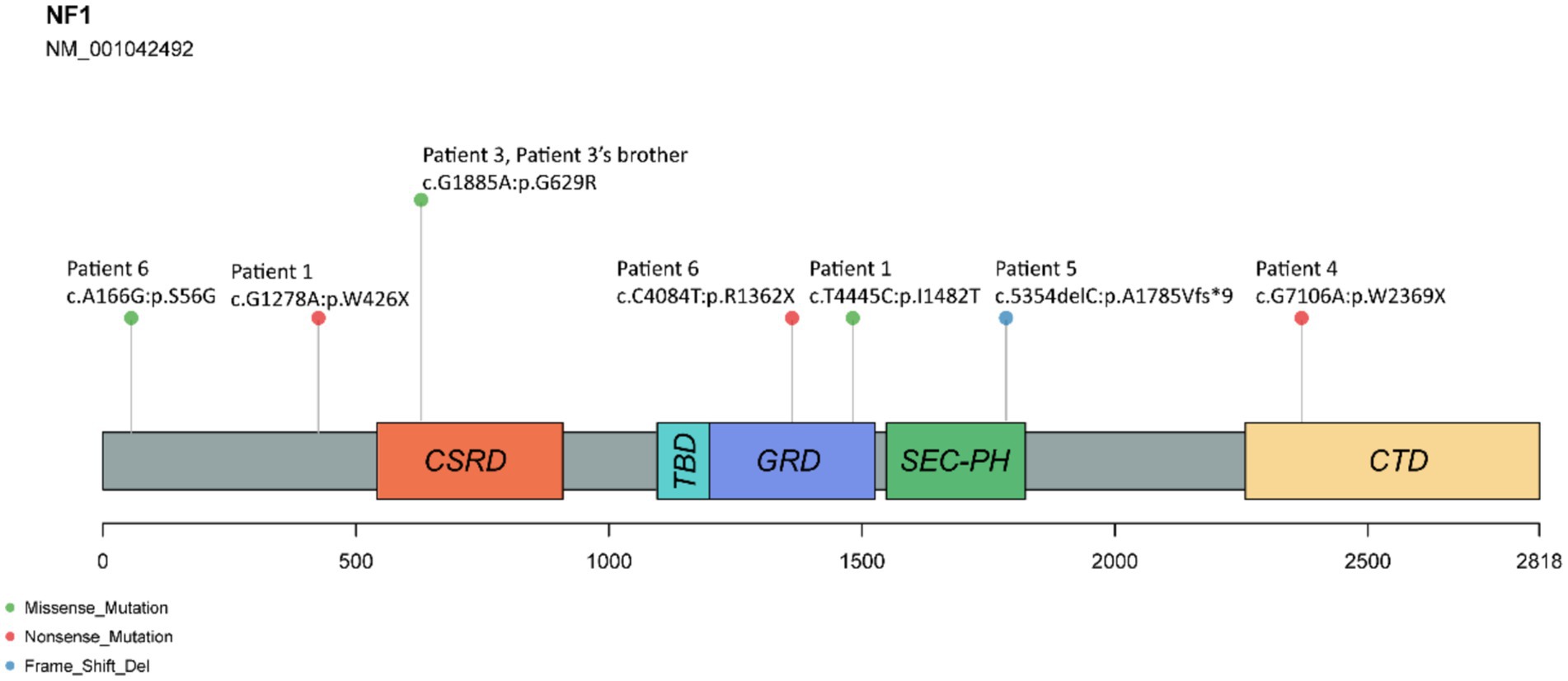 Diagram of the NF1 gene (NM_001042492) showing various mutations associated with patients. Mutations include missense (green), nonsense (red), and frame-shift deletions (blue). Gene regions labeled as CSRD, TBD, GRD, SEC-PH, and CTD. Various patient mutations are mapped along the gene with corresponding descriptions.