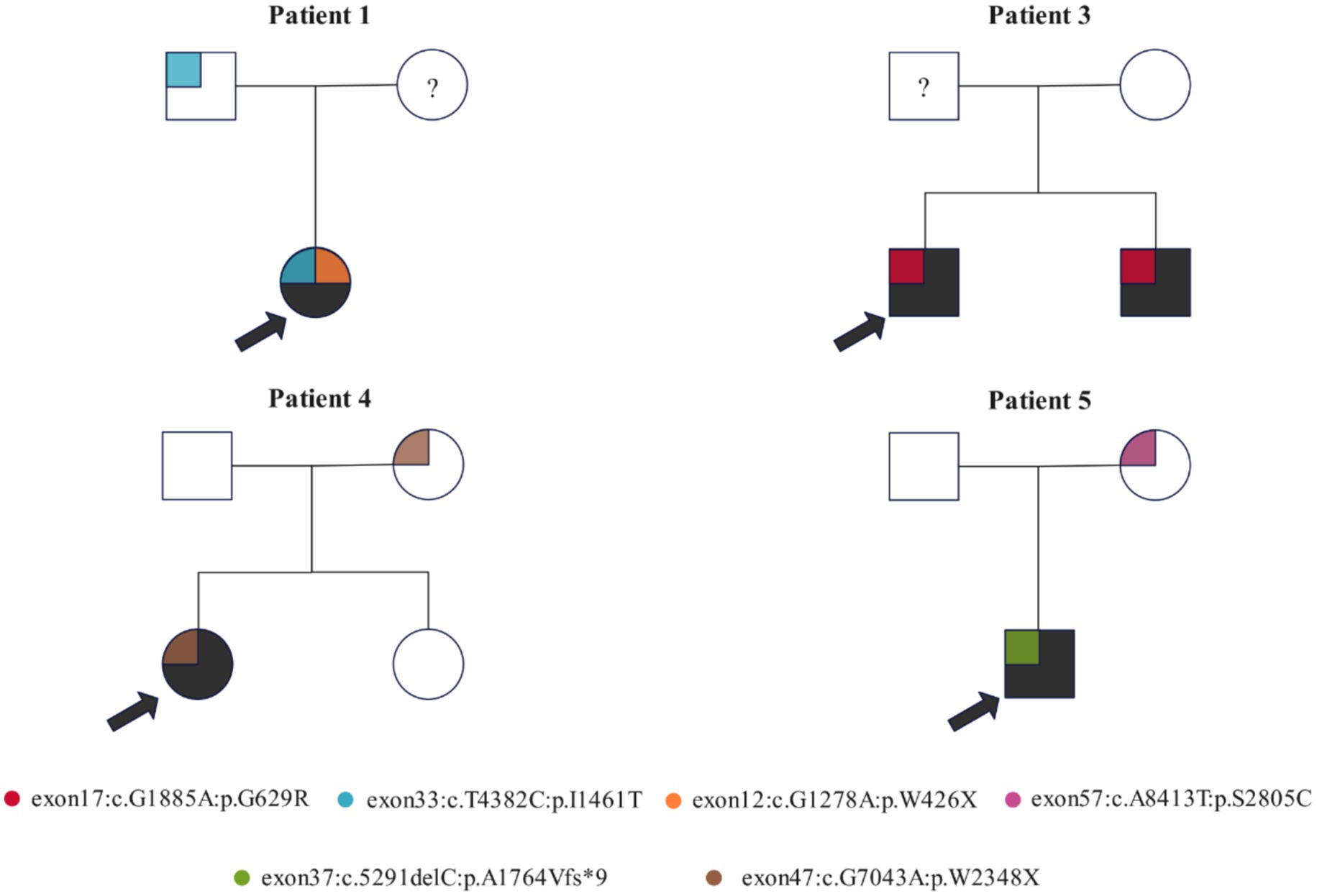 Pedigree charts for Patients 1, 3, 4, and 5, indicating genetic mutations. Patient 1 shows a split in colors for identified mutations. Patient 3 displays red squares for mutations. Patient 4 has partial brown segments. Patient 5 shows a green square for mutations. Each mutation is labeled with specific exon and nucleotide changes below the charts.