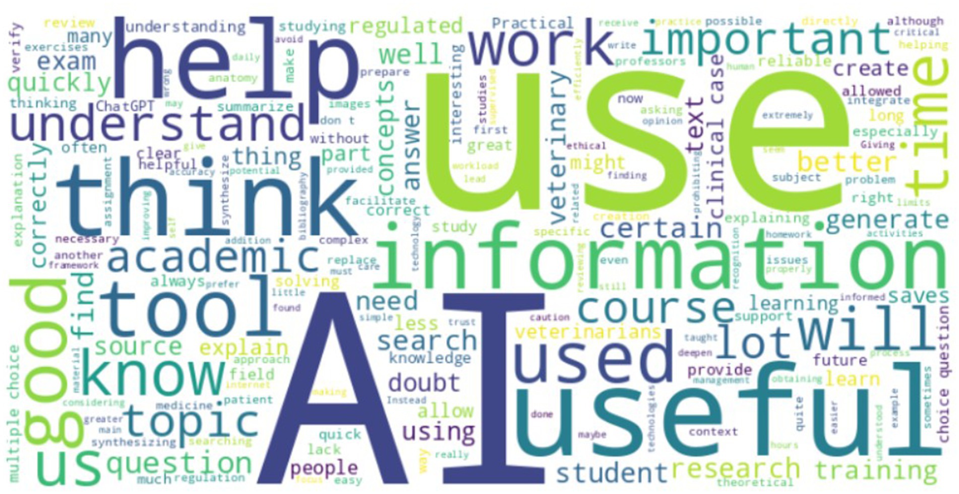Word cloud with prominent words like