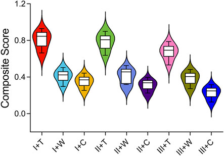 Violin plot displaying composite scores for various categories labeled I+T, I+W, I+C, II+T, II+W, II+C, III+T, III+W, and III+C. Each category is represented by a differently colored violin shape, indicating score distribution, with box plots inside showing medians and interquartile ranges. The y-axis is labeled