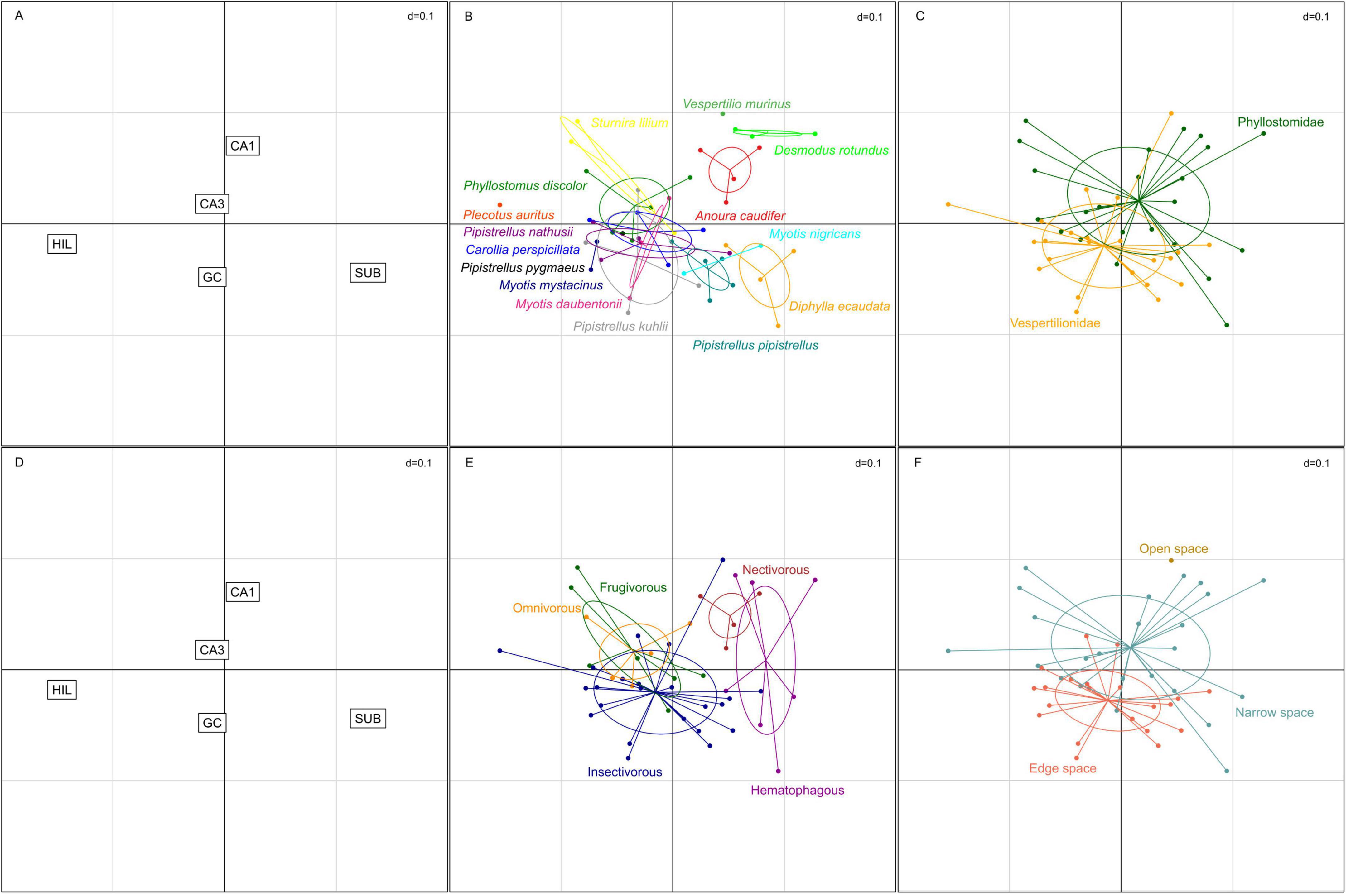 Six scatter plots labeled A to F. Plots A and D show square labeled areas: CA1, CA3, HIL, GC, and SUB. Plot B shows species names like “Pipistrellus nathusii.” Plot C shows families like “Phyllostomidae.” Plot E shows dietary habits like “Insectivorous.” Plot F categorizes space types like “Open space.” Each plot contains arrows and data points with various colors.