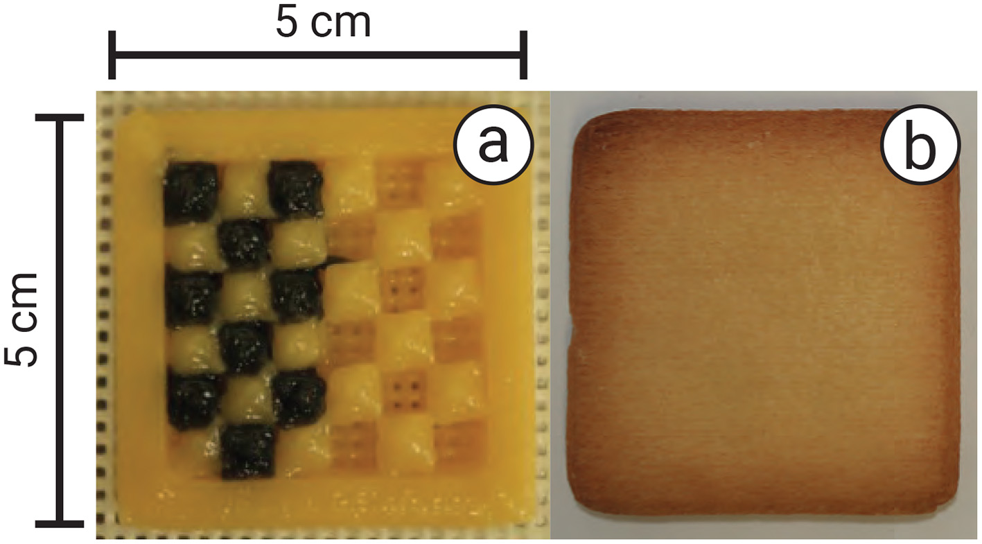 Square baked goods measuring 5 cm by 5 cm. Panel (a) shows a checkerboard pattern with alternating black and tan squares. Panel (b) displays a plain, evenly browned surface.