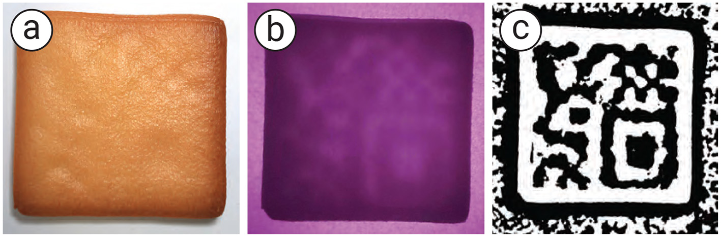 Three panels showing different images. Panel (a) displays a light brown square. Panel (b) shows a purple-tinted square. Panel (c) presents a black and white square with an intricate pattern resembling a stylized character or symbol.