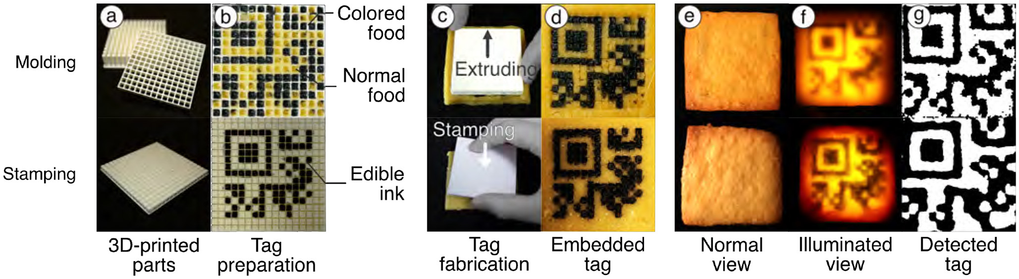 Process of creating edible tags depicted in a sequence. (a) Displays 3D-printed molds. (b) Shows tag preparation with colored and normal food and edible ink on a grid. (c) Illustrates tag fabrication through an extrusion process. (d) Features the embedded tag on a food item. (e) Shows a normal view of the marked food. (f) Depicts the illuminated view, highlighting the tag. (g) Displays the detected tag pattern.