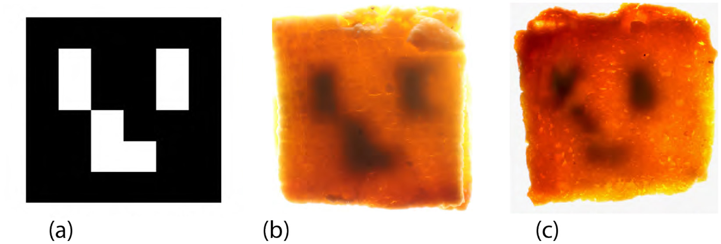 Three-panel image: (a) Black square with white geometric shapes resembling a face. (b) Toasted bread with blurred dark spots mimicking the face pattern. (c) Another toasted bread slice with a similar blurred face pattern.