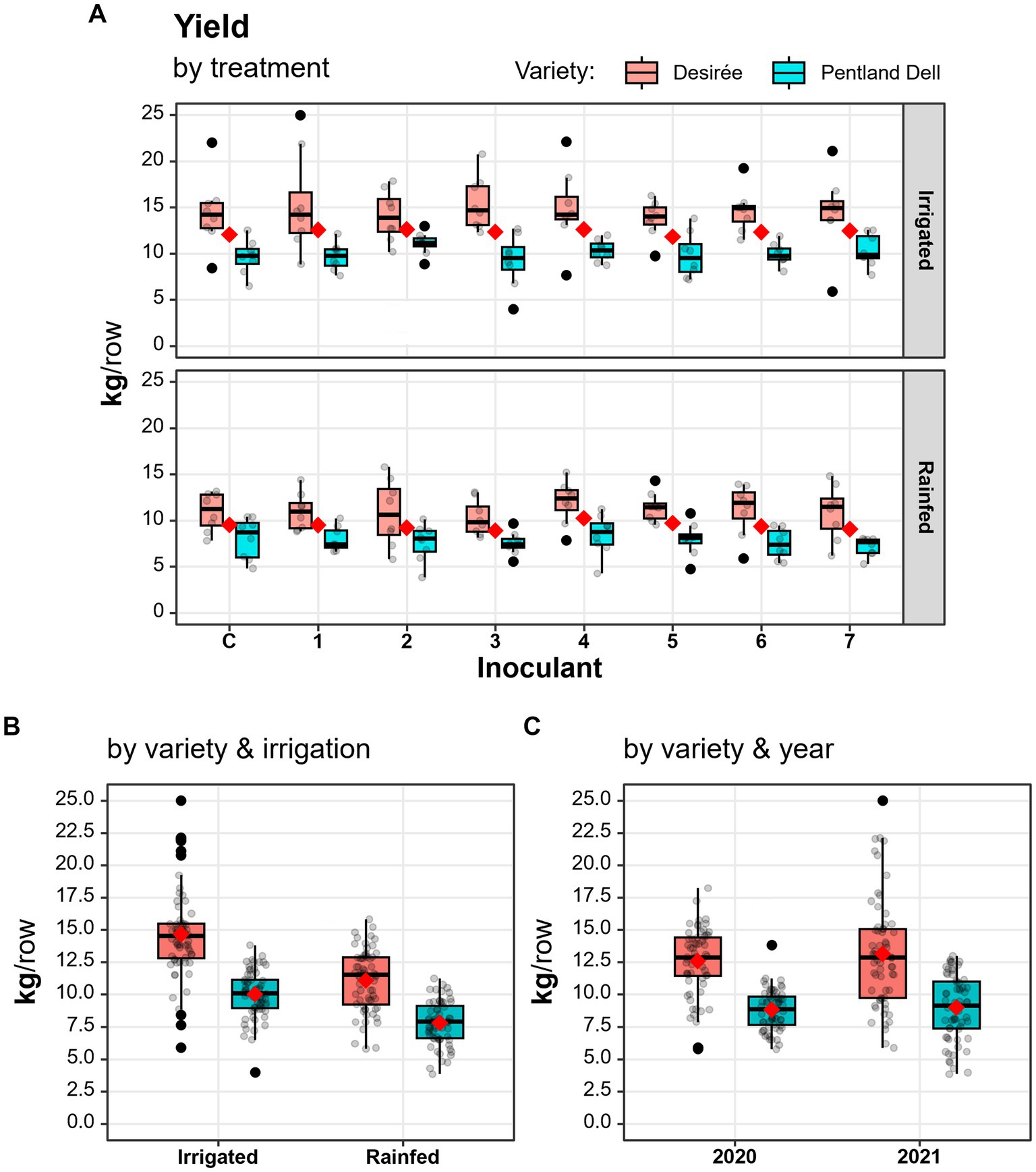 Three box plot panels display potato yield data. Panel A shows yield by treatment, comparing Désirée and Pentland Dell varieties under irrigated and rainfed conditions across different inoculants. Panel B compares yield by variety and irrigation, and Panel C compares yield by variety and year, 2020 and 2021. Data points are marked with black dots, and box plots represent different varieties.