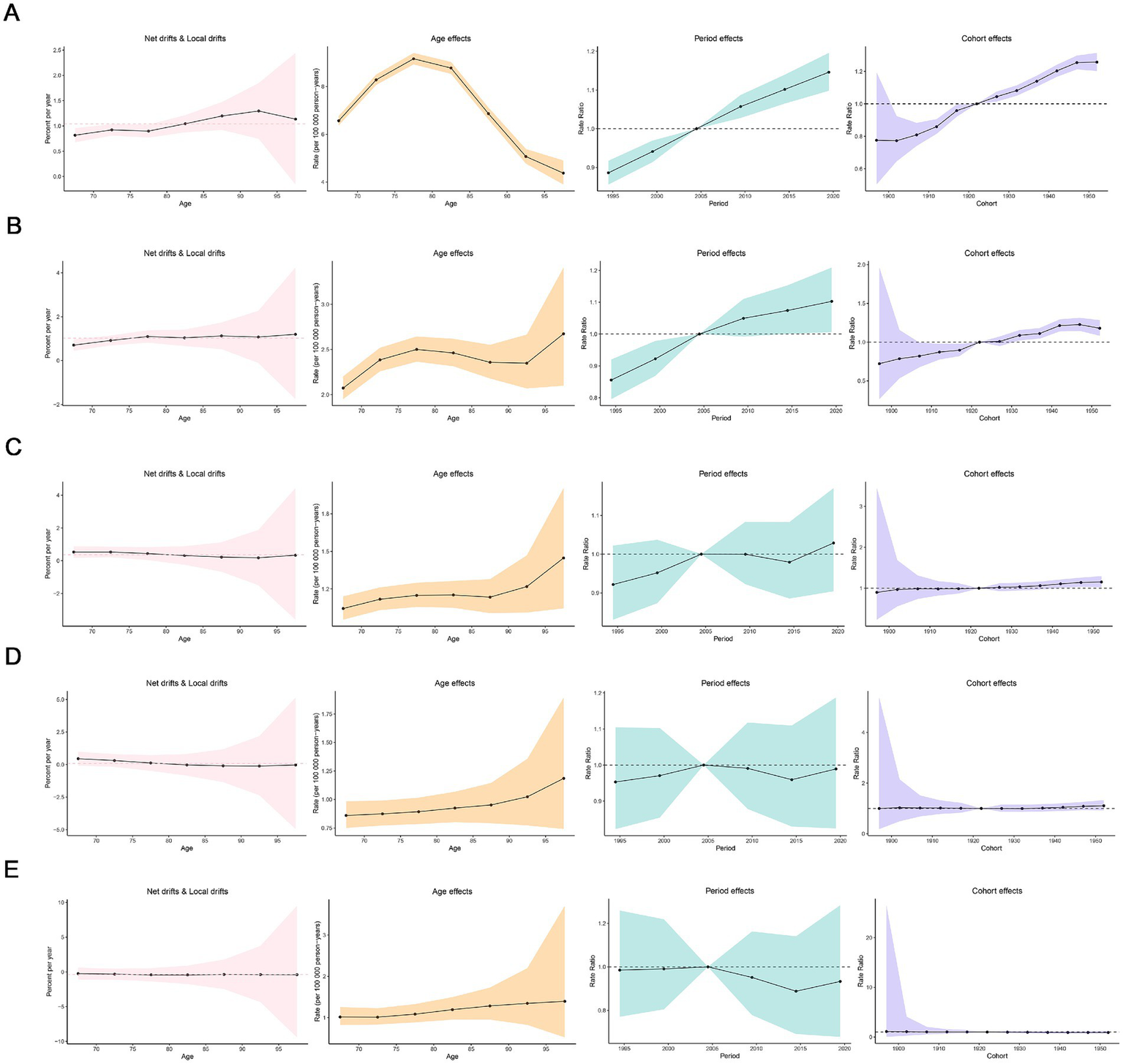 Five panels labeled A to E display graphs showing net drifts and local drifts, age effects, period effects, and cohort effects. Each panel contains four line graphs with shaded confidence intervals, varying in color. The age effects plot shows age-specific rates per 100,000 persons, and the period and cohort effects show rate ratios, each plotted over time against a dotted baseline.