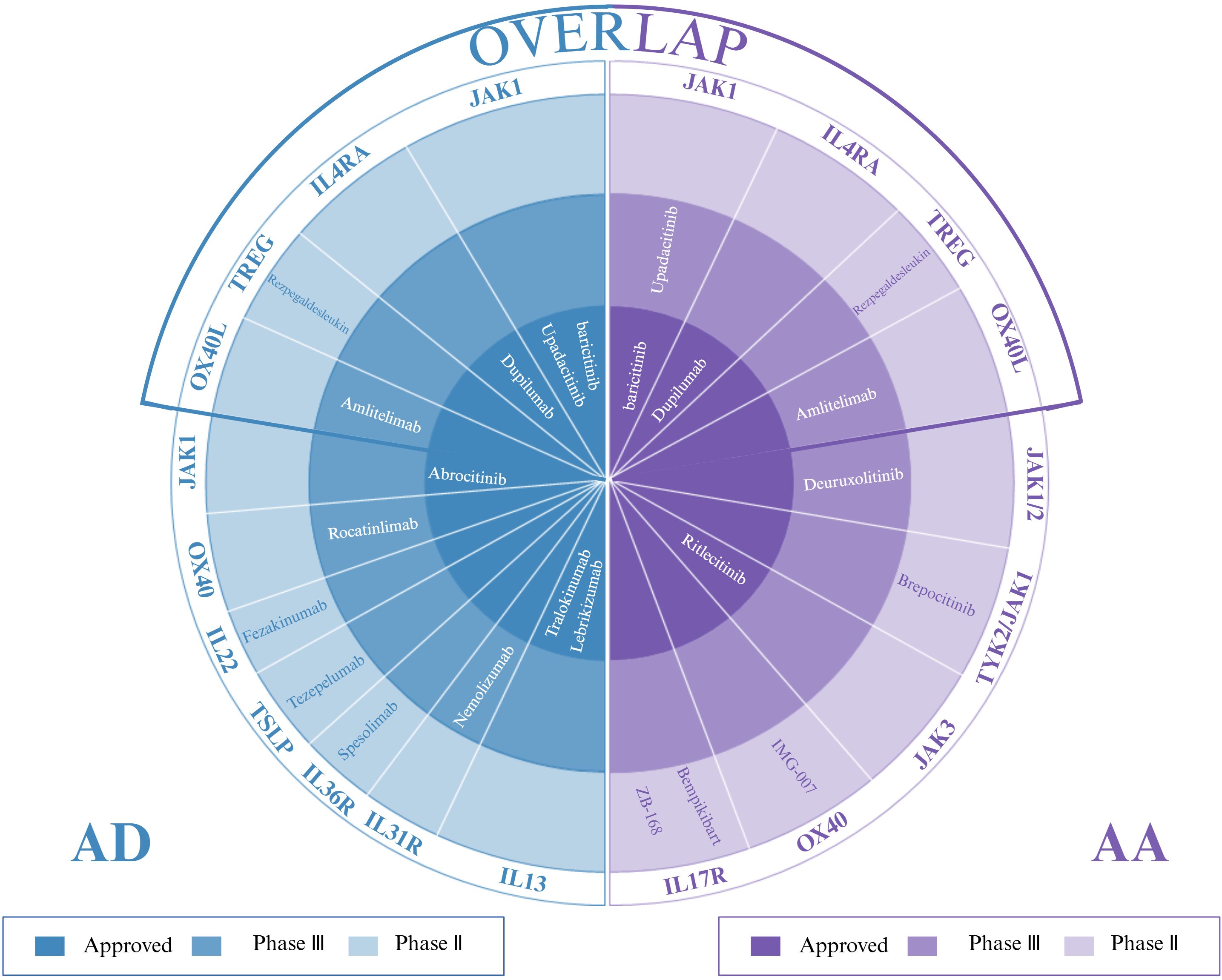Circular diagram showing drug development phases for AD (Atopic Dermatitis) and AA (Alopecia Areata). The left half (blue) represents AD with drugs like Dupilumab and Abrocitinib. The right half (purple) represents AA with drugs such as Upadacitinib and Baricitinib. Each segment indicates approval status: Approved, Phase III, or Phase II. The top section shows overlap, revealing shared drugs in both conditions. The color legend corresponds to each phase's status.