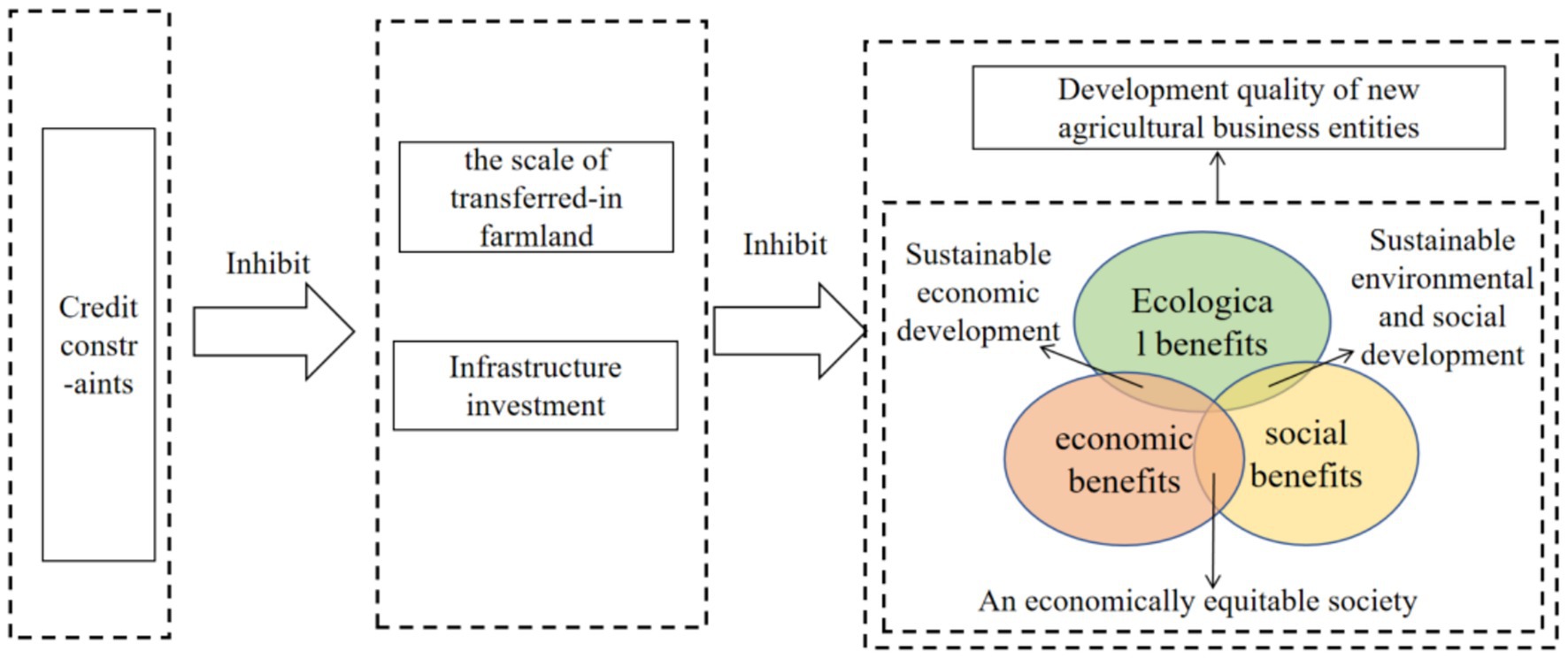Flowchart depicting the impact of credit constraints inhibiting farmland transfer and infrastructure investment, leading to reduced ecological, economic, and social benefits. It highlights challenges to sustainable development and the quality of new agricultural business entities.