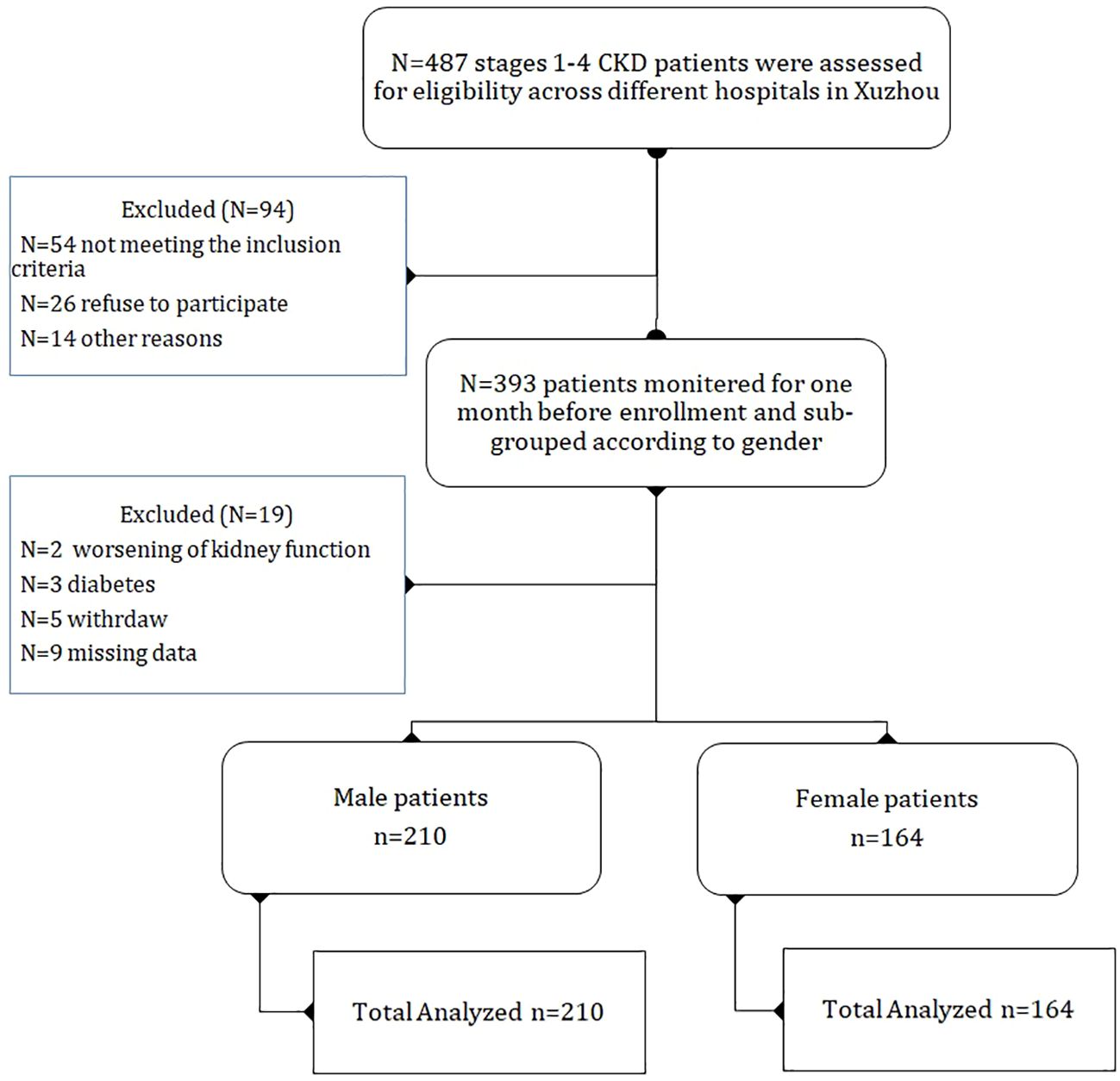 Flowchart showing the selection process for a CKD study in Xuzhou. Out of 487 patients assessed, 94 were excluded (54 not meeting criteria, 26 refused, 14 other reasons). From the remaining 393 monitored patients, 19 were excluded (2 worsening kidney function, 3 diabetes, 5 withdrew, 9 missing data). It results in 210 male patients and 164 female patients analyzed.