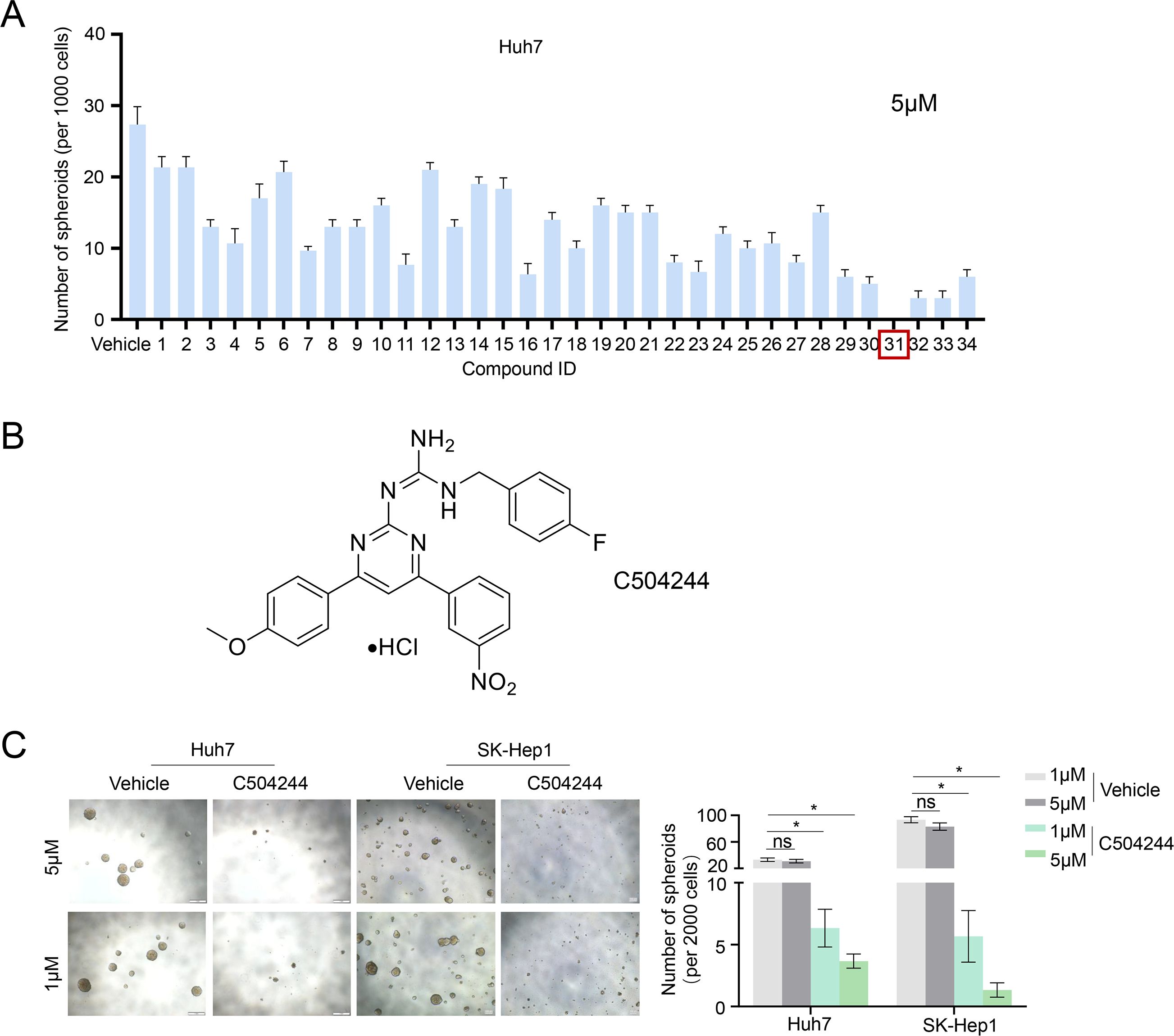 Chart A is a bar graph showing the number of spheroids per 1,000 cells for Huh7 cells across various conditions, with a focus on 5µM. Chart B displays the chemical structure of compound C504244. Chart C contains images of spheroids treated with vehicle or C504244 at 1µM and 5µM in both Huh7 and SK-Hep1 cells, accompanied by a bar graph illustrating the number of spheroids per 2,000 cells for the conditions, highlighting significant differences.
