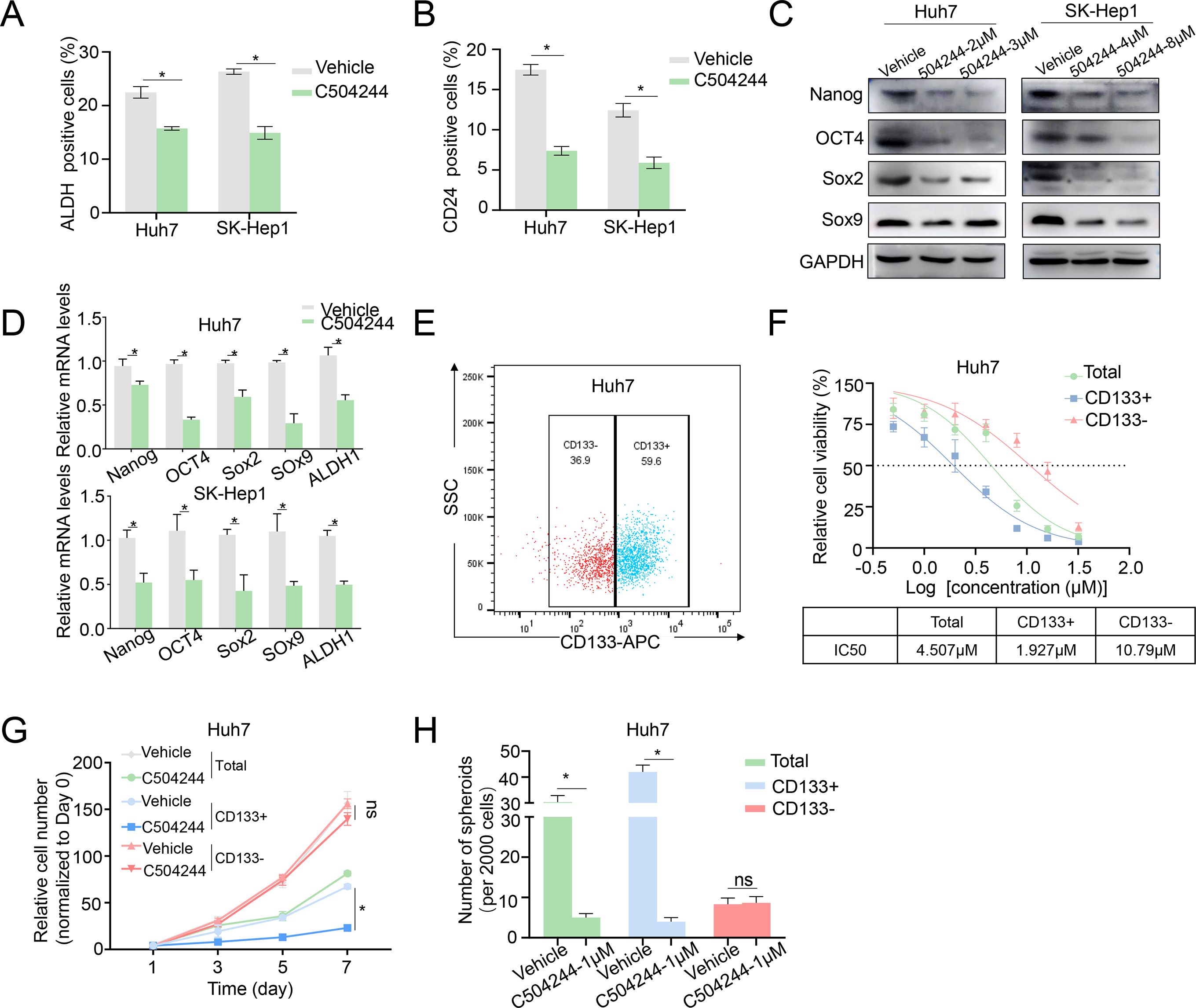 Multiple panels show experimental data on the effects of C504244 on liver cancer cell lines Huh7 and SK-Hep1. Panels A and B display bar graphs indicating reduced ALDH and CD24 positive cells with C504244 treatment. Panel C shows western blot results for stem cell markers Nanog, OCT4, Sox2, and Sox9 with different concentrations of C504244. Panel D presents decreased mRNA levels of stem cell markers in treated cells. Panel E features a flow cytometry plot illustrating separation of CD133 positive and negative cell populations. Panel F shows a line graph of cell viability across drug concentrations with calculated IC50 values. Panel G depicts growth curves for treated and untreated cells. Panel H compares the number of spheroids formed under different treatments.